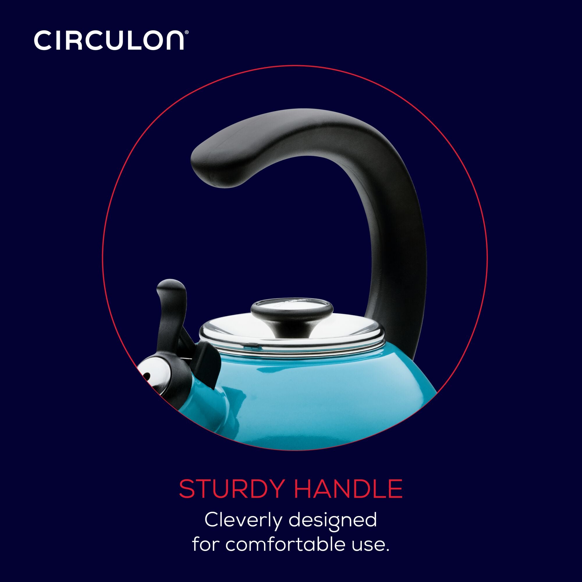 2 Quart Stainless Steel Whistling Tea Kettle with Flip-Up Spout - Perfect for Stovetop Brewing, Camping & Home Kitchen Use