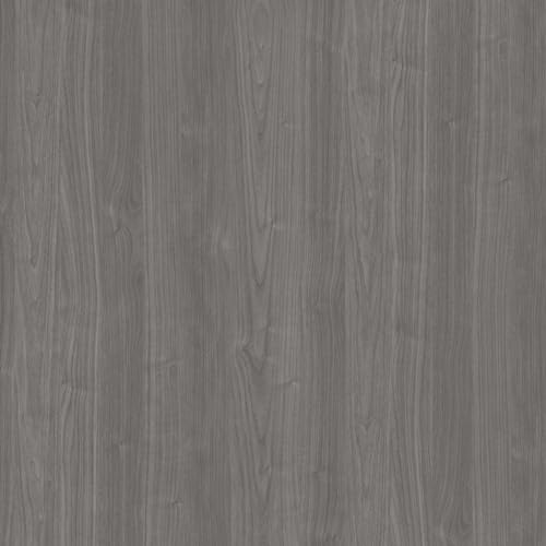 Modern Gray