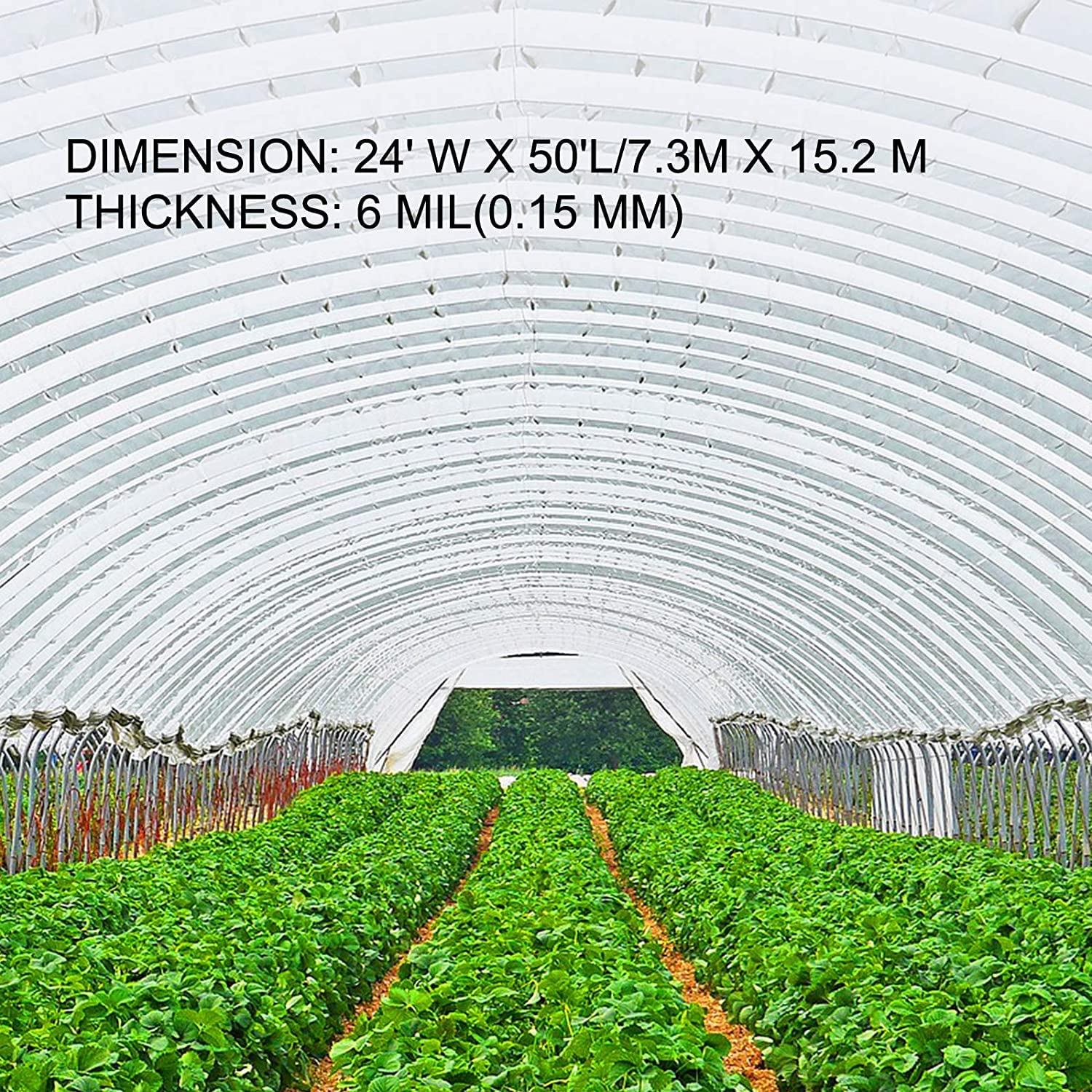 VEVOR 24x50 ft Greenhouse Plastic Sheeting - 6 Mil Clear UV Resistant Polyethylene Film for Hoop Houses, Farms & Gardens | Durable Plant Protection Cover for Vegetables, Flowers & Seedlings