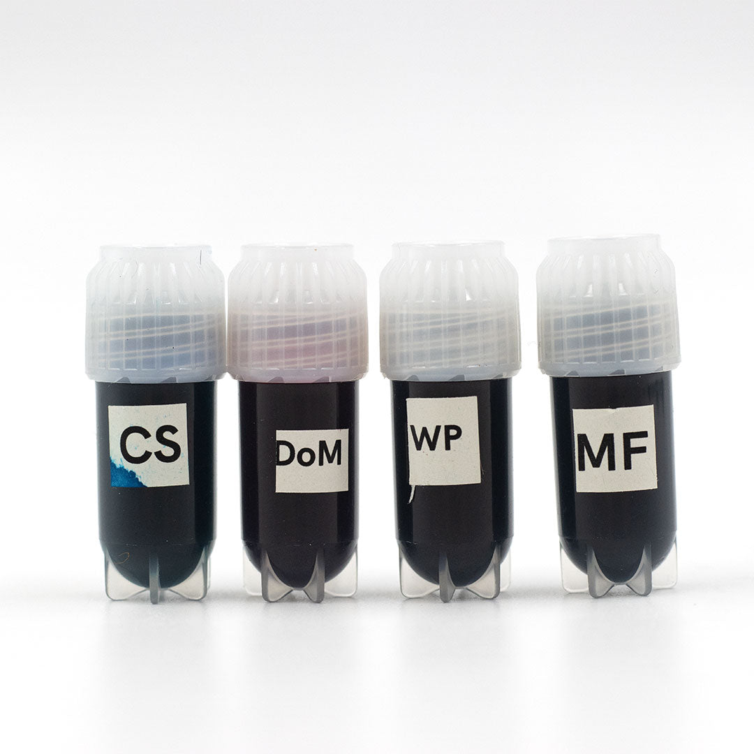 Premium Fountain Pen Ink Sampler Set - 12 Vibrant Colors for Calligraphy, Writing & Art - Perfect for Journaling, Note Taking & Gift Giving