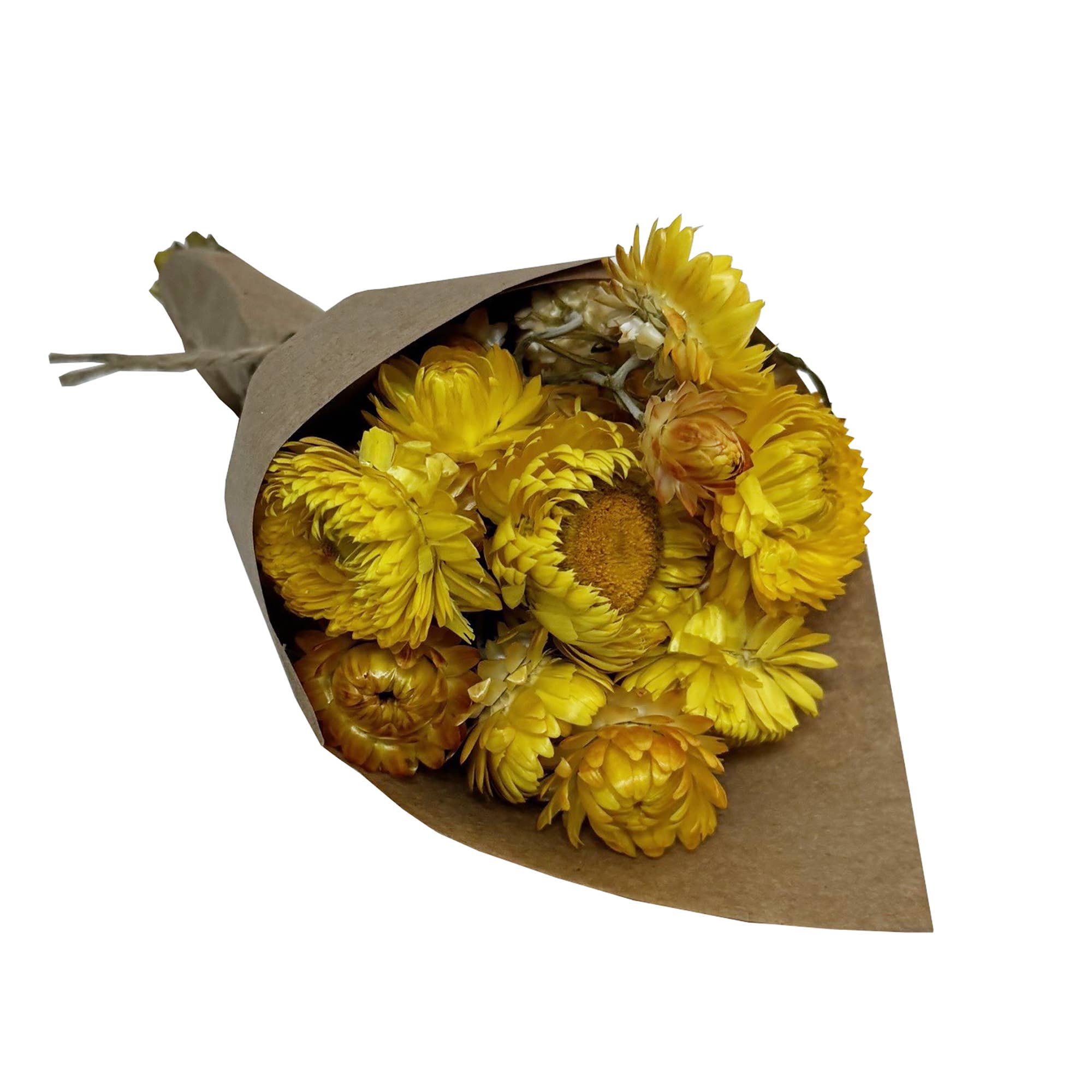 Andaluca MINI Strawflower Bundle - Yellow Dried Flowers for Home Decor, Wedding Bouquets, DIY Crafts & Gift Wrapping | Natural Floral Arrangement Supplies