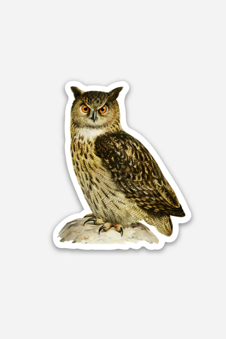 Funny Disgusted Owl Gap Filler Sticker - Self-Adhesive Decorative Vinyl Decals for Walls, Furniture & Windows - Perfect for Home, Office & Dorm Room Decor