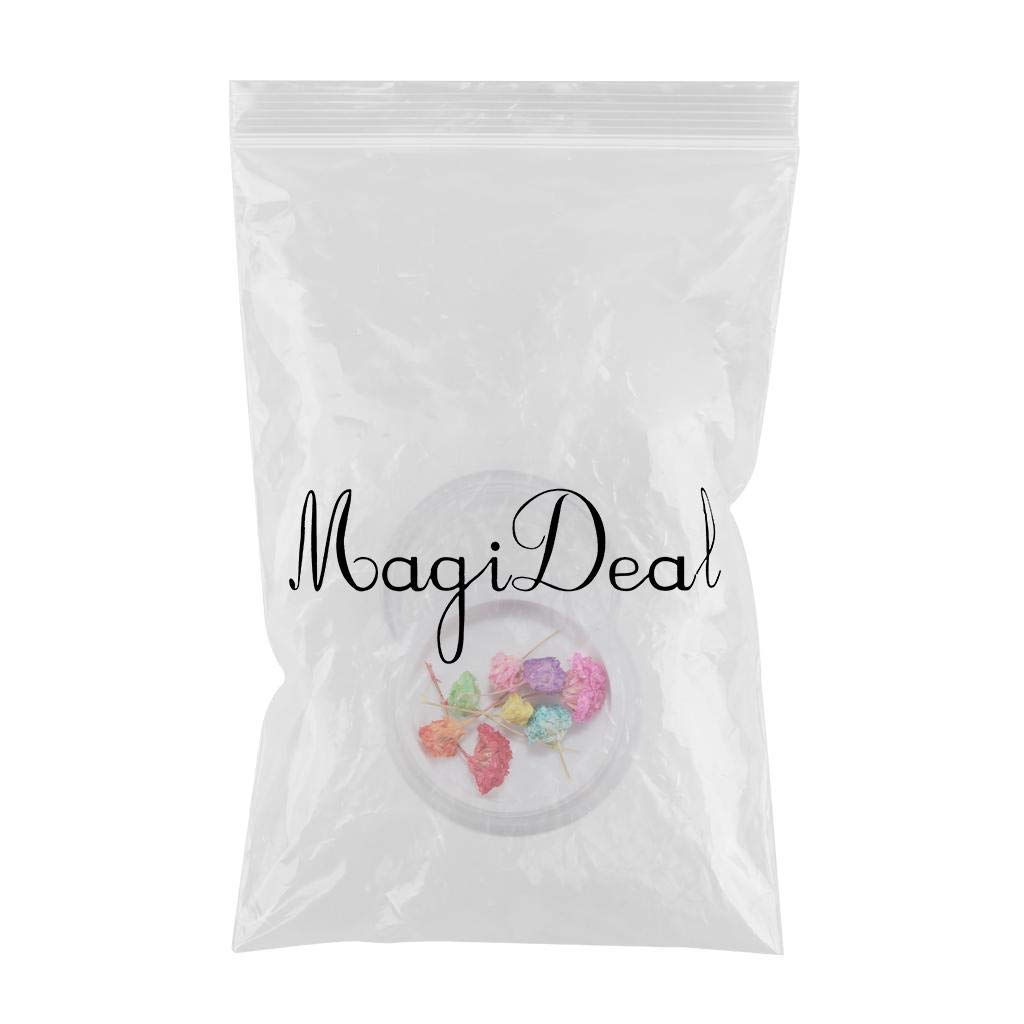 VMS INDIA Dried Flowers for Nail Art - Manicure Tools for Acrylic & UV Gel Tips Decoration (9-Pack) - Perfect for DIY Nail Designs, Salon Use, and Creative Nail Art Projects