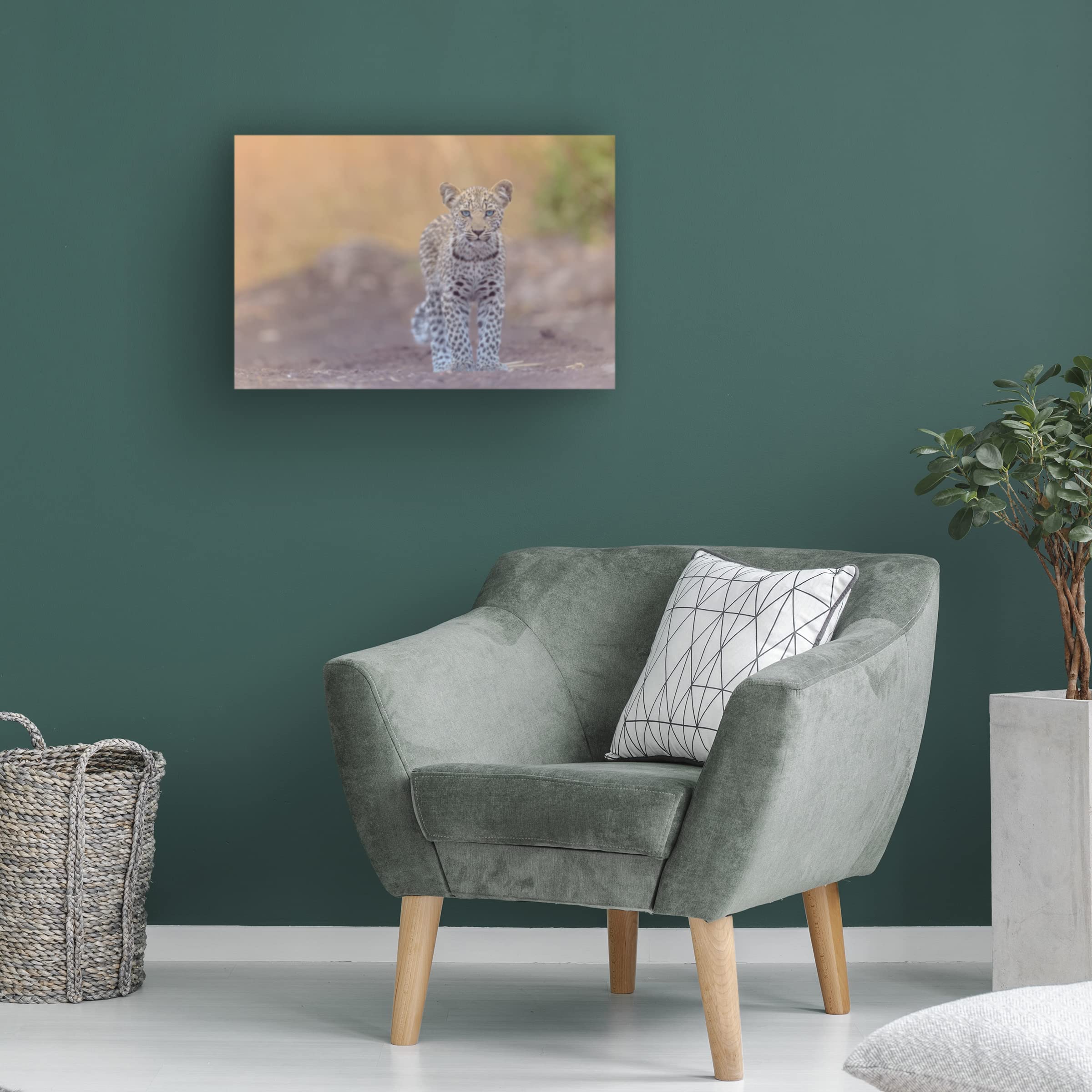 Baby Leopard With Blue Eyes Canvas Wall Art by Ozkan Ozmen - Stunning Wildlife Home Decor for Living Room, Bedroom & Office