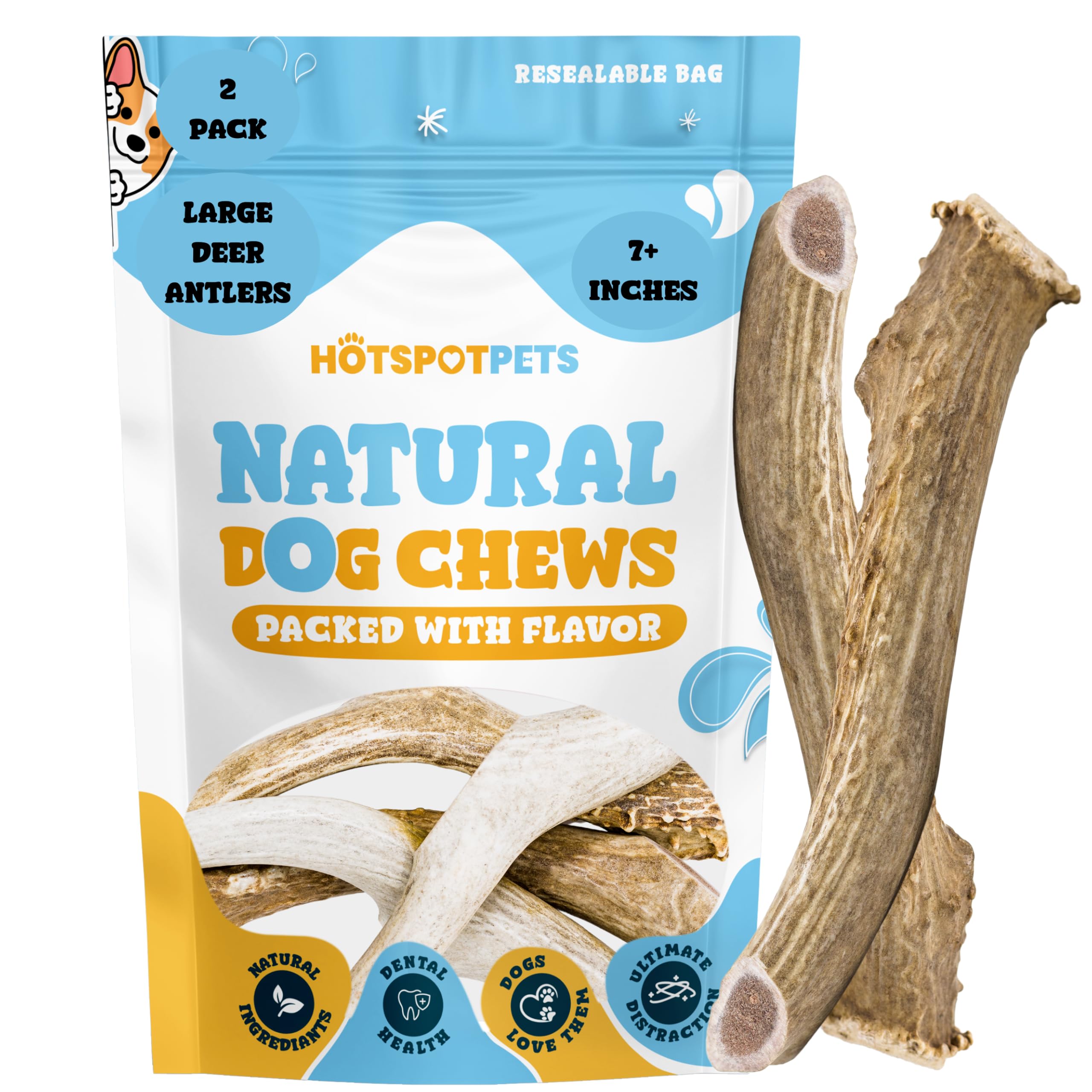 Premium Deer Antlers for Dogs - 7+ Inch Large Antler Dog Chews (2 Pack) | Made in USA | Naturally Shed Antler Bone for Large Breed Aggressive Chewers | Promotes Dental Hygiene | Long-Lasting Chew Toy for Teething, Boredom & Anxiety Relief