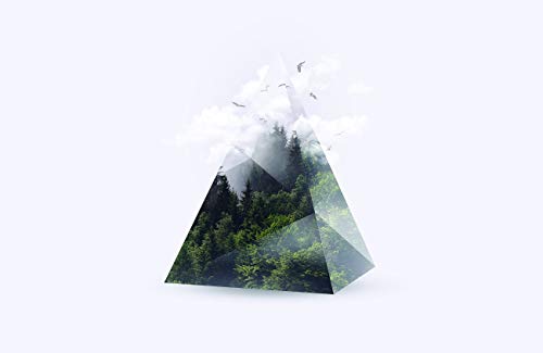 Forest Triangle