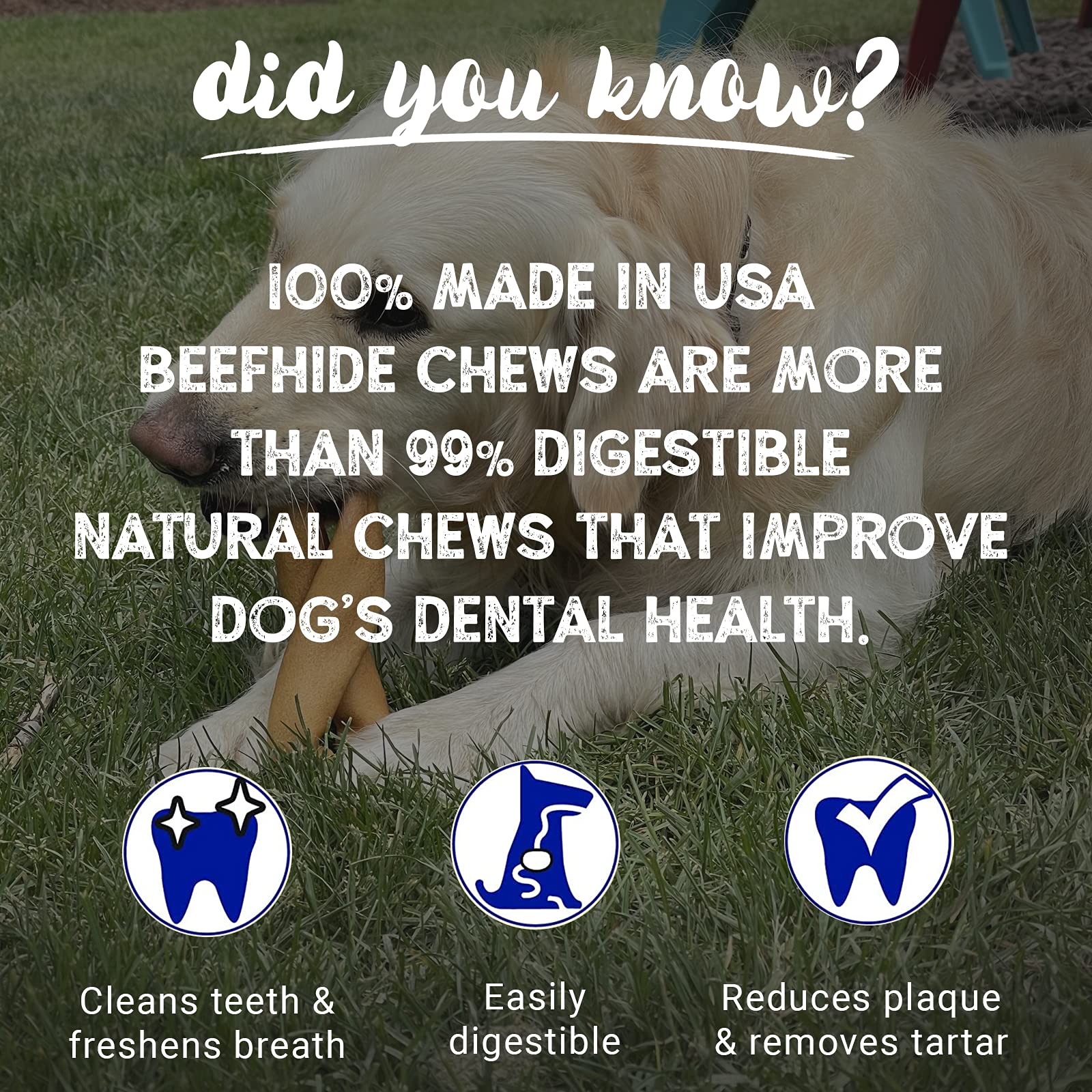 Premium 100% Made in USA Beefhide Chips Dog Chews - Natural Beef & Chicken Flavored Dental Treats for Medium & Large Dogs, 8oz Bag | Healthy Snack for Teeth Cleaning & Anxiety Relief During Training, Travel or Crate Time