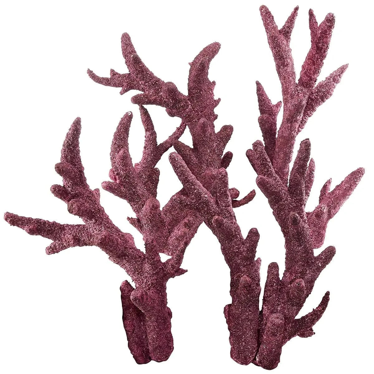 Premium Real Reef Branch Rock - 30 lbs Box for Saltwater Aquariums | Natural Coral Decor for Marine Tanks, Fish Habitats & Reef Aquascaping
