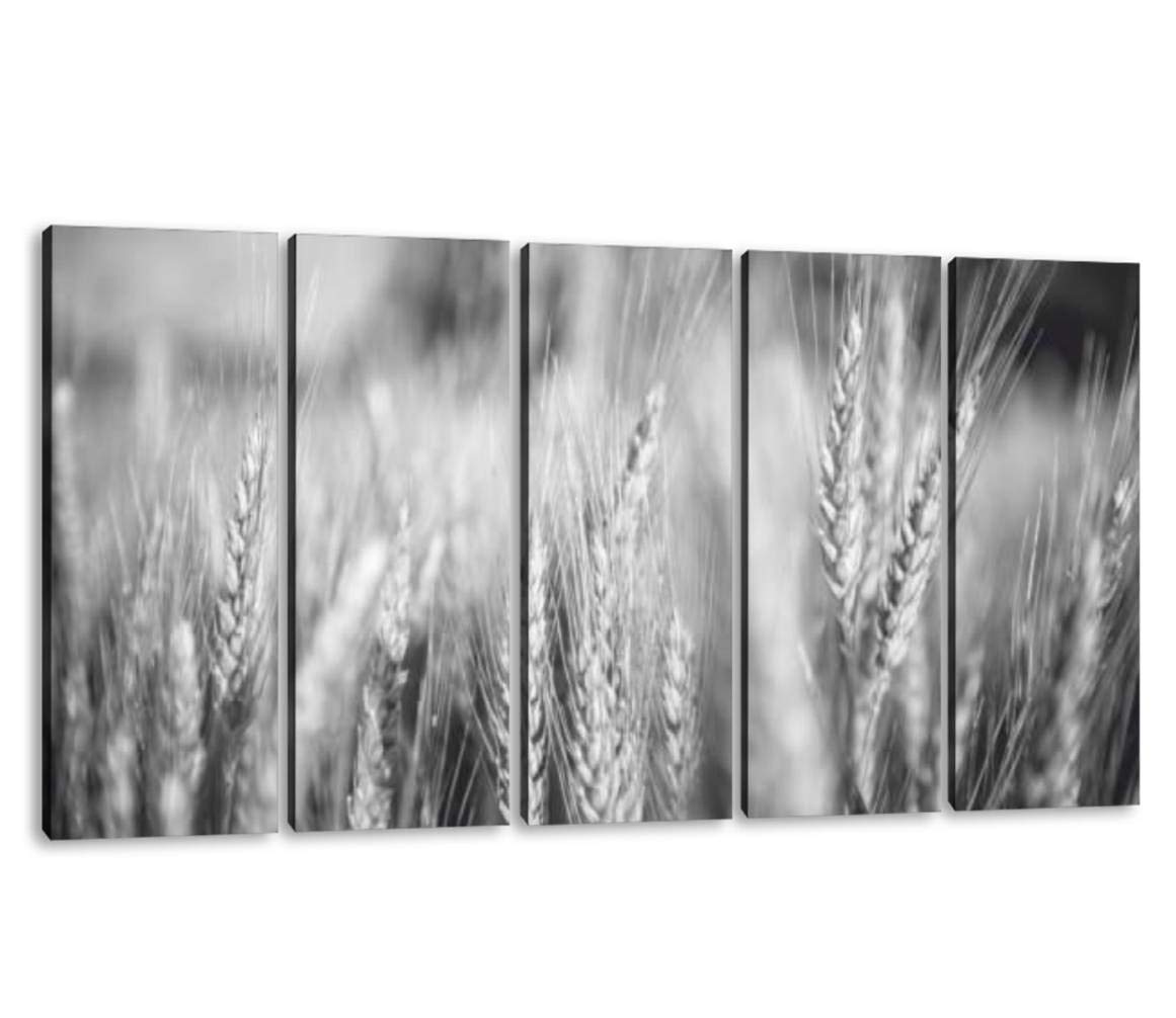 KiiAmy 5-Panel Wheat Field Black & White Farm Artwork - Modern Framed Canvas Wall Art for Office, Bedroom & Home Decor - Ready to Hang 60x32 Inch - Perfect for Farmhouse, Rustic & Contemporary Interior Design