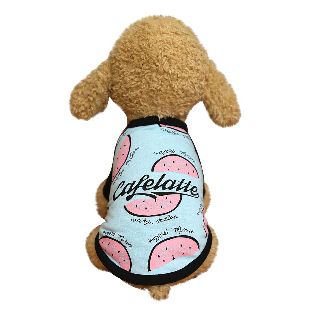 Pet Dog Shirt - Polar Puppy Coat & Cat Clothes Sweatshirt - Cute Animal Apparel for Small Medium Large Dogs & Cats - Perfect for Winter Walks, Photo Shoots & Indoor Comfort