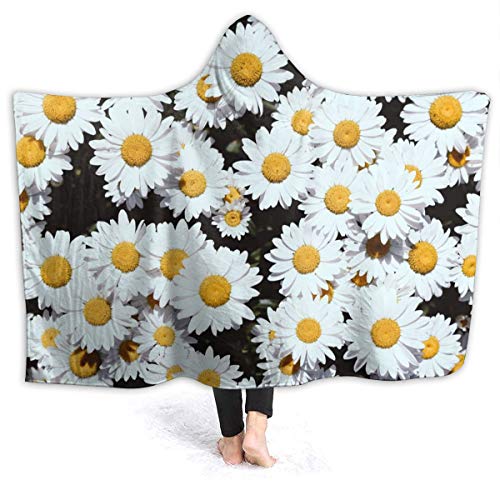 Daisy Flowers