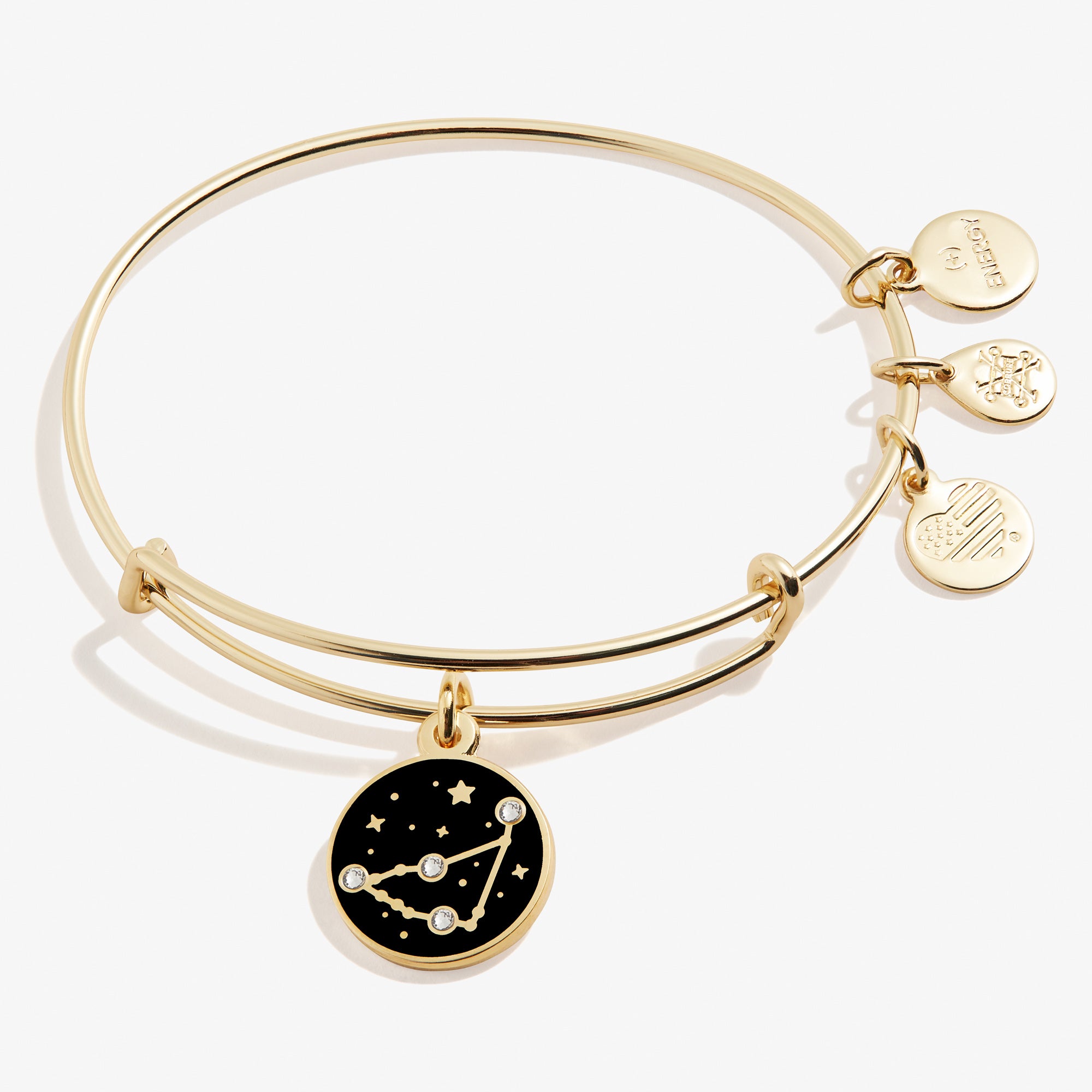 Capricorn Zodiac Charm Bracelet - Sterling Silver Zodiac Sign Bangle for Women - Perfect for Birthday Gifts & Astrology Jewelry Collection