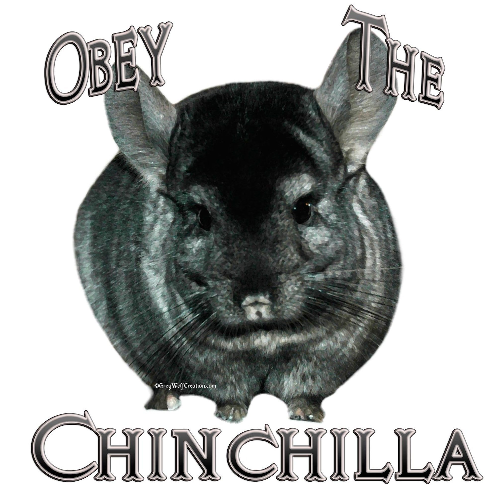 Chinchilla Obey Rectangle Sticker - Durable Bumper Decal for Cars, Laptops & Water Bottles - Fun Car Accessories for Pet Lovers & Humor Fans