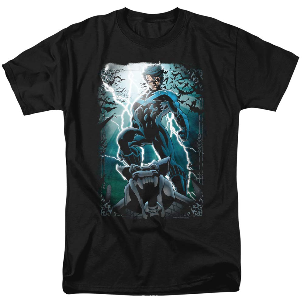 Batman Nightwing LED Night Light - Unisex Adult T-Shirt for Men & Women | Superhero Gift for Fans, Cosplay & Comic Con