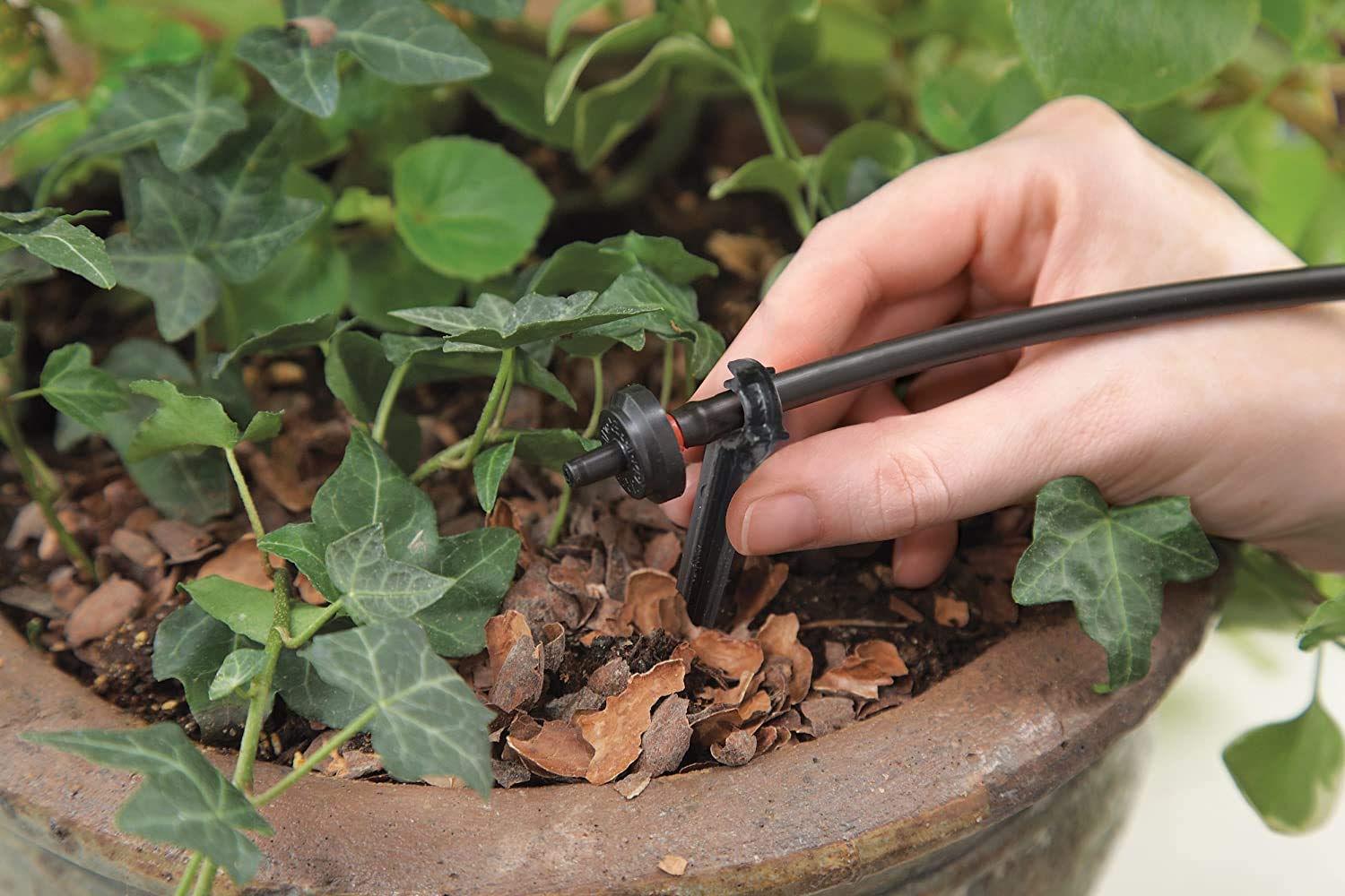 Raindrip R560DP Automatic Drip Irrigation Kit with Timer - Adjustable Watering System for 20 Plants, Includes 20 Drippers - Perfect for Containers, Hanging Baskets, Potted Plants & Garden Beds (Black)
