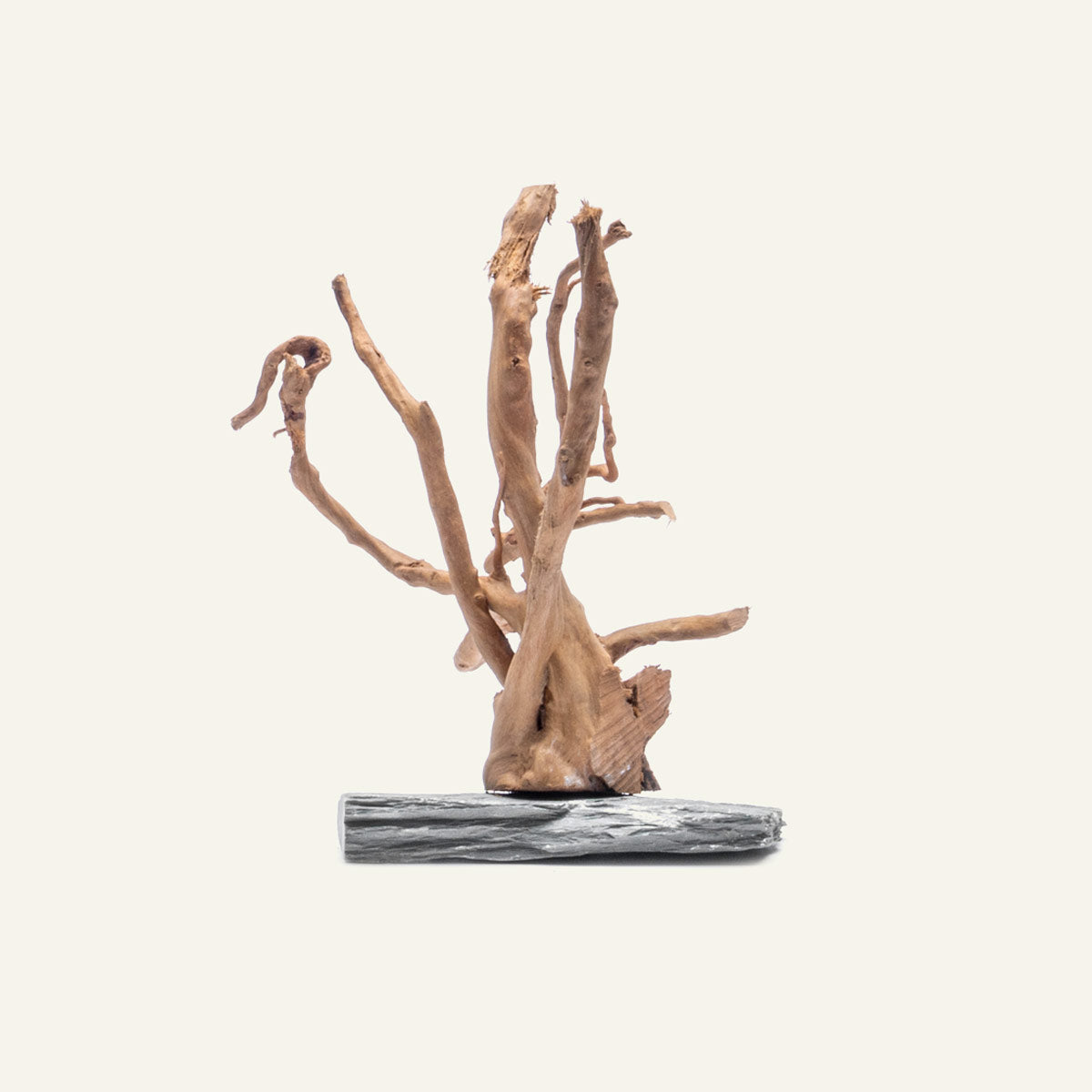 Natural Spider Wood on Slate Stone Aquarium Decor - Perfect for Fish Tanks, Terrariums & Reptile Habitats