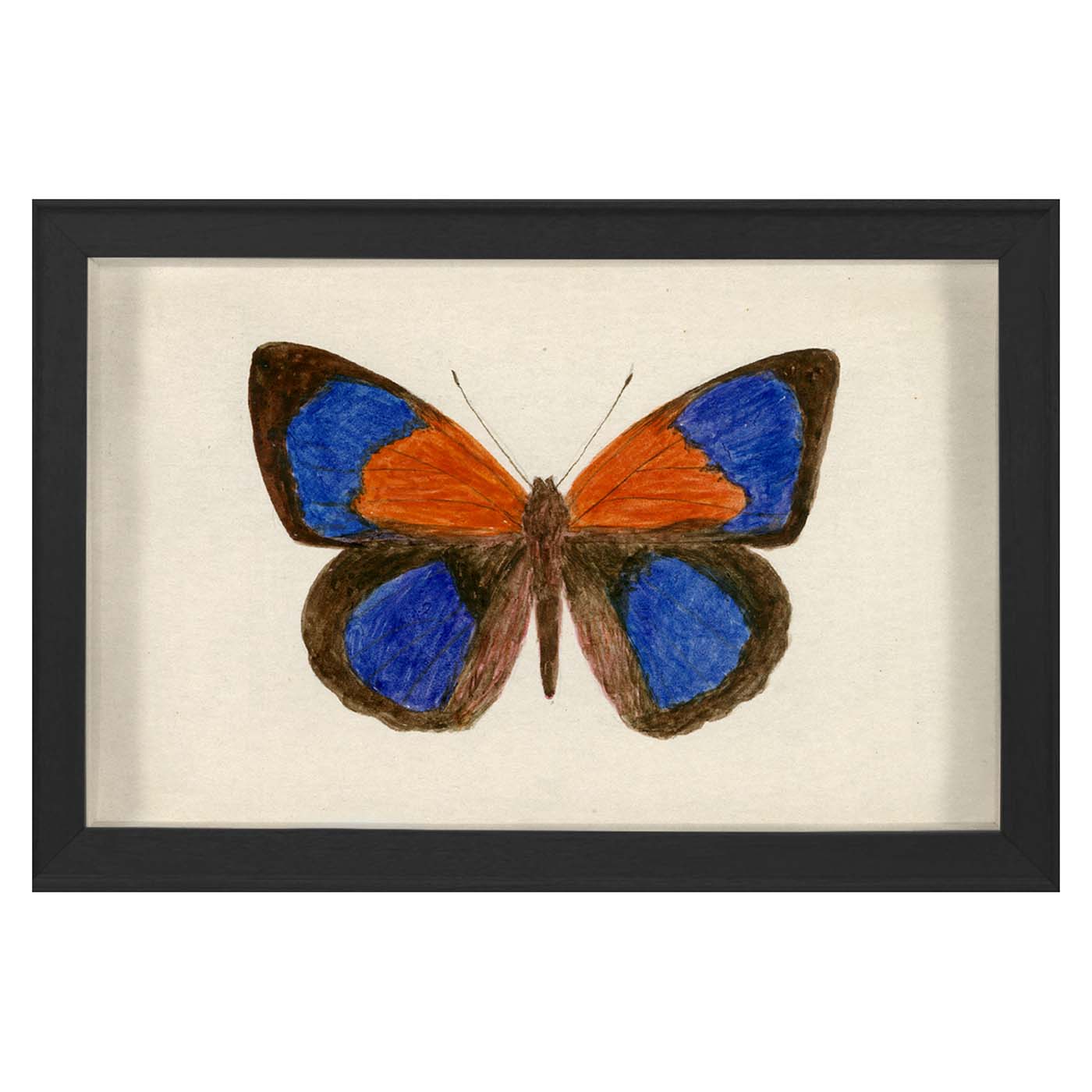 Small Hubbard Butterfly - 137 - Perfect for Home Decor, Wedding Centerpieces & DIY Crafts