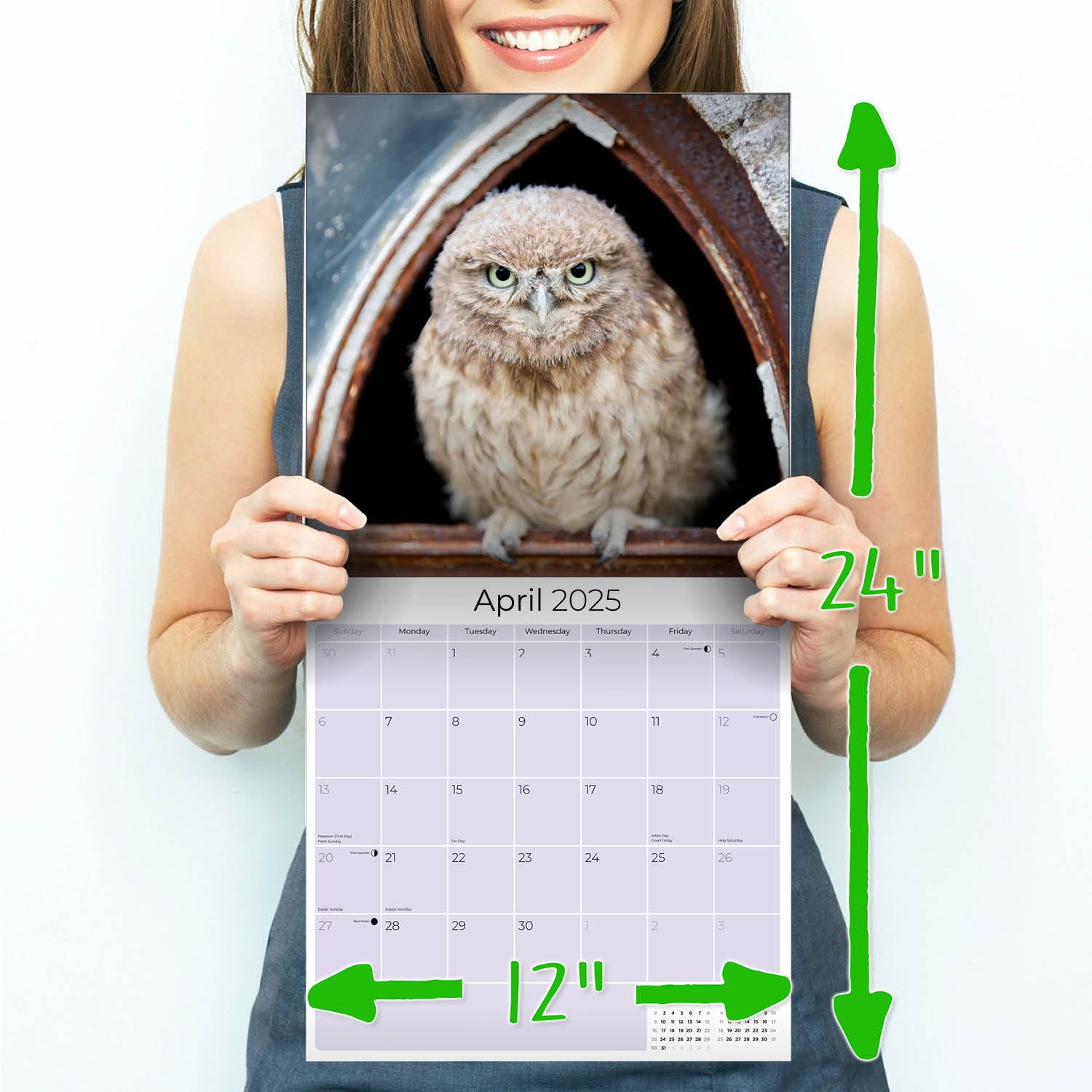 2024-2025 Owls & Wildlife Wall Calendar - 12