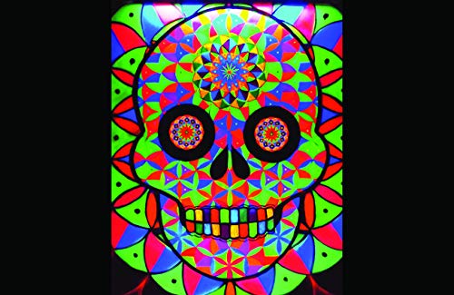 Geo Sugar Skull