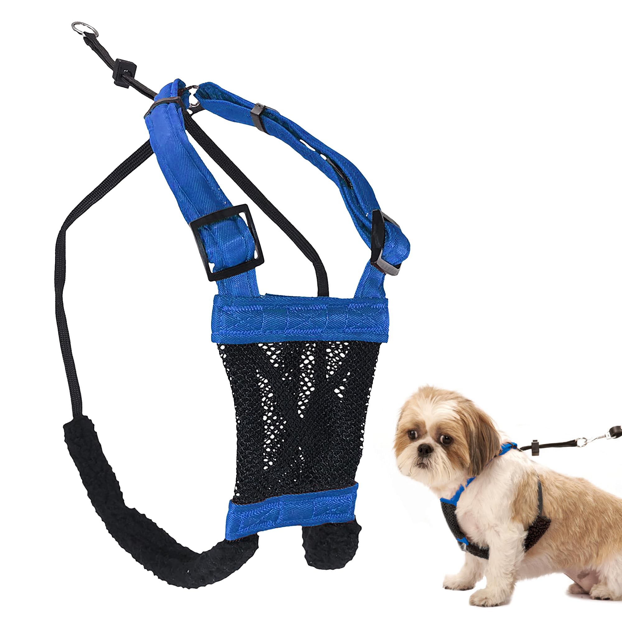 No Pull Dog Harness for Small Breeds - Breathable Blue Mesh & Durable Nylon Anti-Pull Pet Harness - Adjustable Comfort for Walking, Training, and Outdoor Adventures