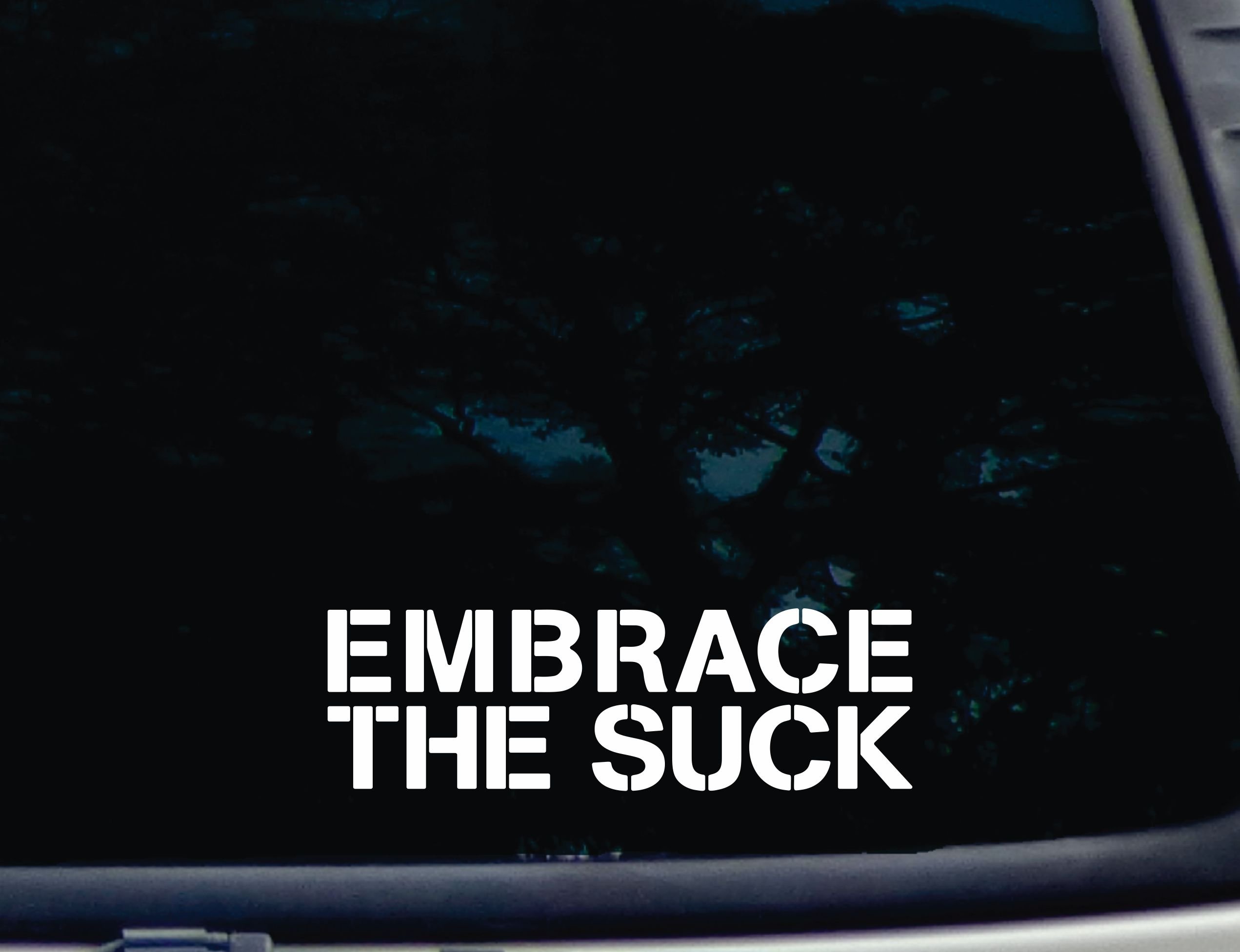 Embrace The Suck - 8