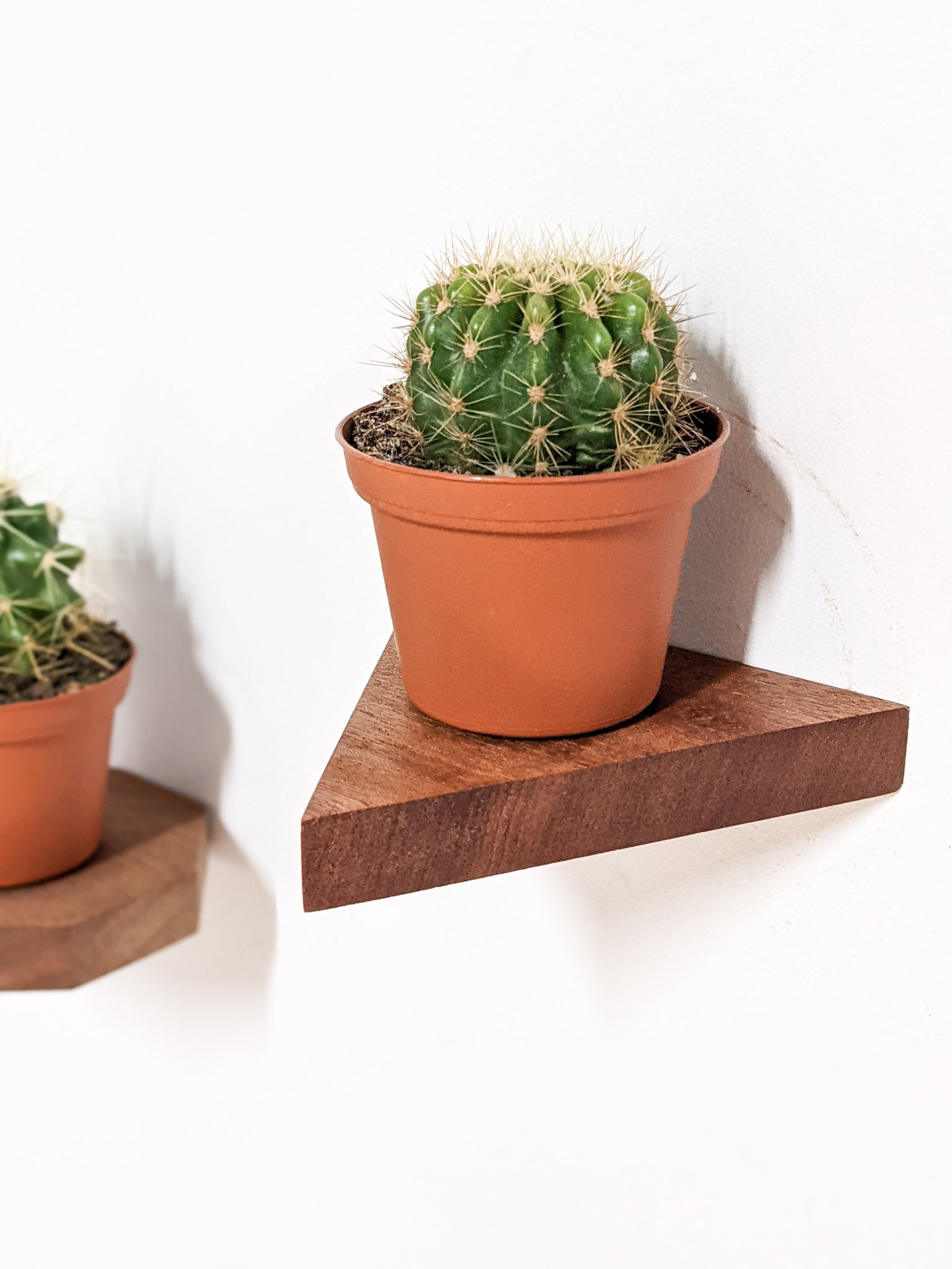 Premium Mahogany Small Triangle Display Shelf - Perfect for Home Decor, Retail Stores & Gift Shops