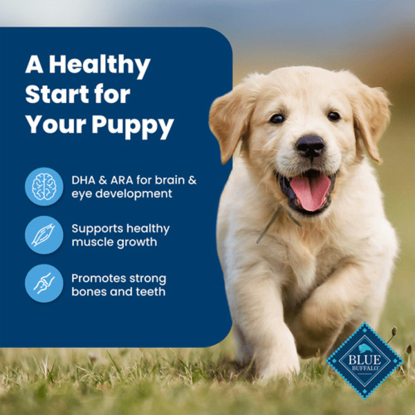 BLUE Life Protection Formula Chicken & Brown Rice Recipe Dry Puppy Food - High Protein Puppy Kibble for Small & Large Breed Dogs - Perfect for Growing Puppies & Active Dogs