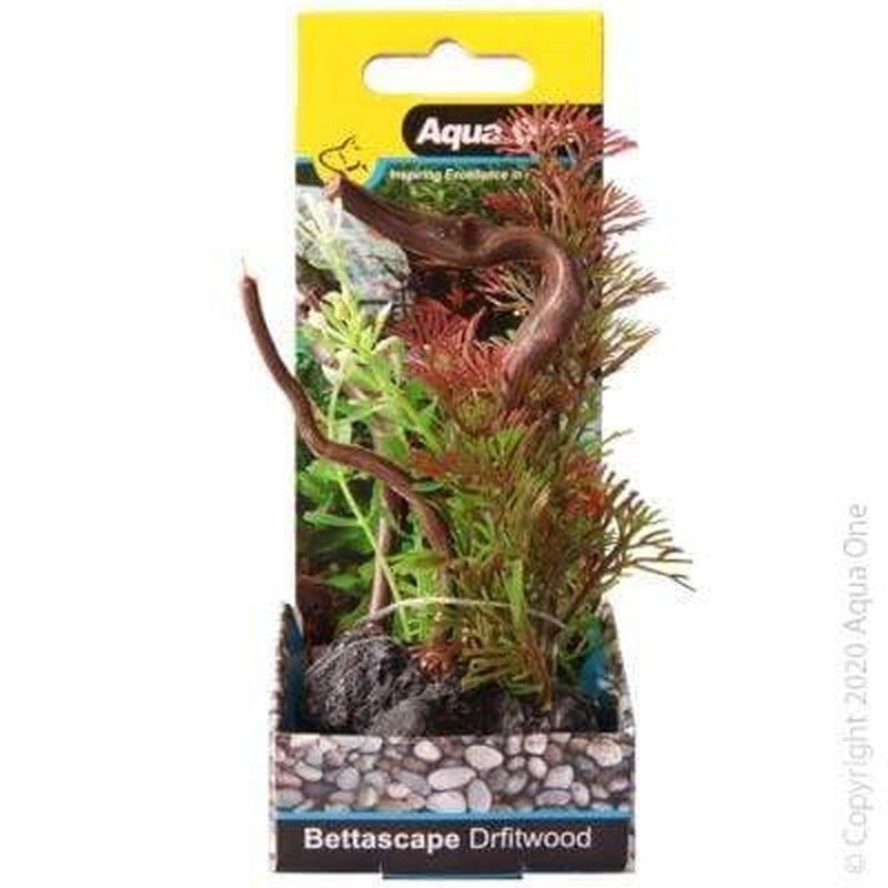 Aqua One Bettascape Mayaca Fern on Driftwood - 15cm Live Aquarium Plant for Fish Tank Decoration | Perfect for Freshwater Aquascaping & Shrimp Habitats