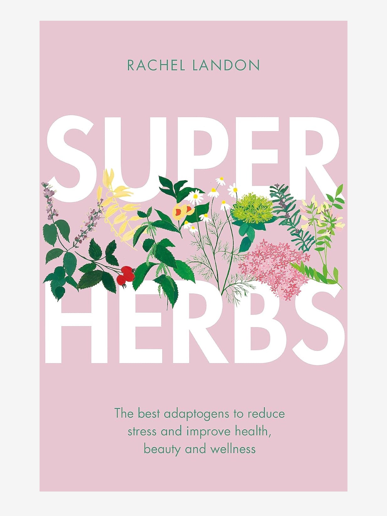 Superherbs: Top Adaptogens for Stress Relief, Health & Beauty – Boost Wellness for Work, Travel & Daily Life