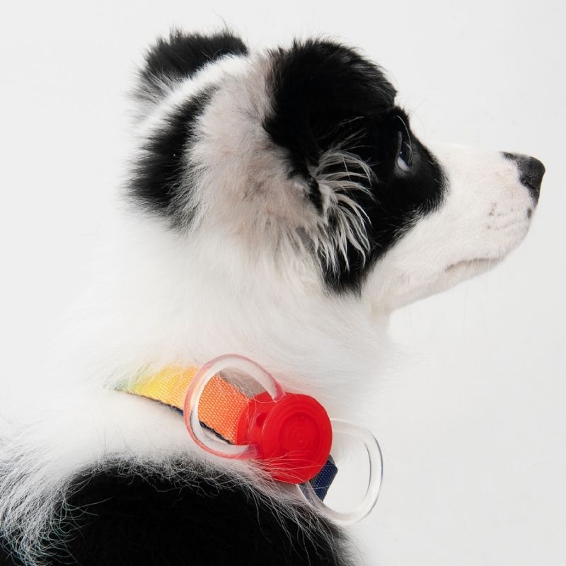 Pidan LED Dog Safety Light - High Visibility Collar Light for Night Walks, Jogging & Outdoor Adventures - Waterproof & Rechargeable Pet Accessories for Small & Large Dogs