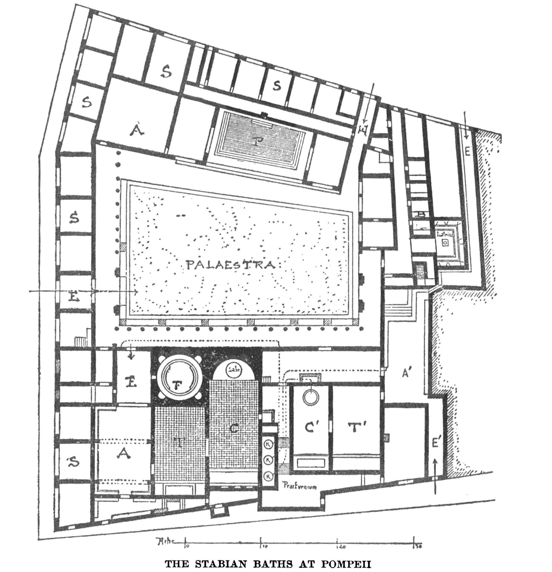 Vitruvius: The Ten Books on Architecture (Volume 1) - Classic Architectural Treatise for Students, Historians & Designers | Perfect for Architecture Studies & Historical Research