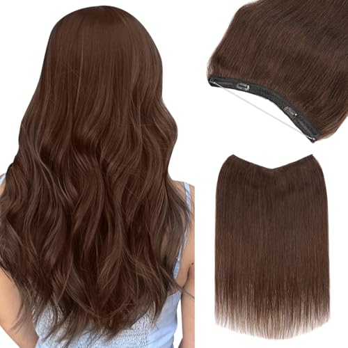 Dark Brown #2
