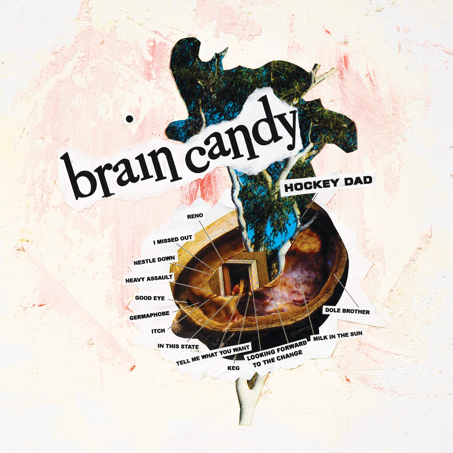 Brain Candy - Fun & Educational Toys for Kids | STEM Learning Games & Creative Play | Perfect for Home, Classroom & Birthday Gifts