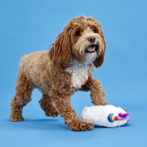 BarkShop Pete The Frankly Fantastic Unicorn Dog Plush Toy - Soft & Durable Stuffed Animal for Dogs - Perfect for Chewing, Cuddling & Playtime