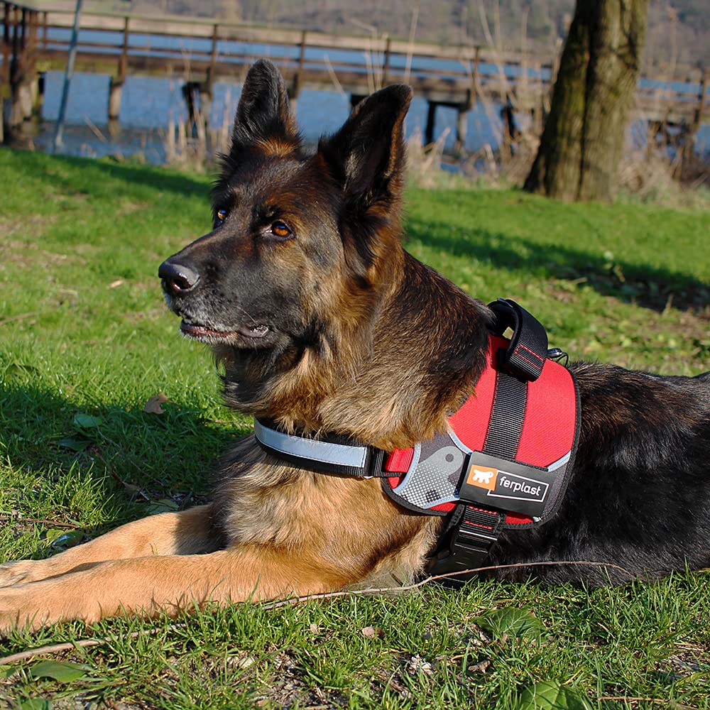 Hercules Extra Large Dog Harness - Adjustable, Padded & Scratchproof for Large Dogs | Reflective Night Visibility with Handle | Perfect for Walking, Hiking & Outdoor Adventures