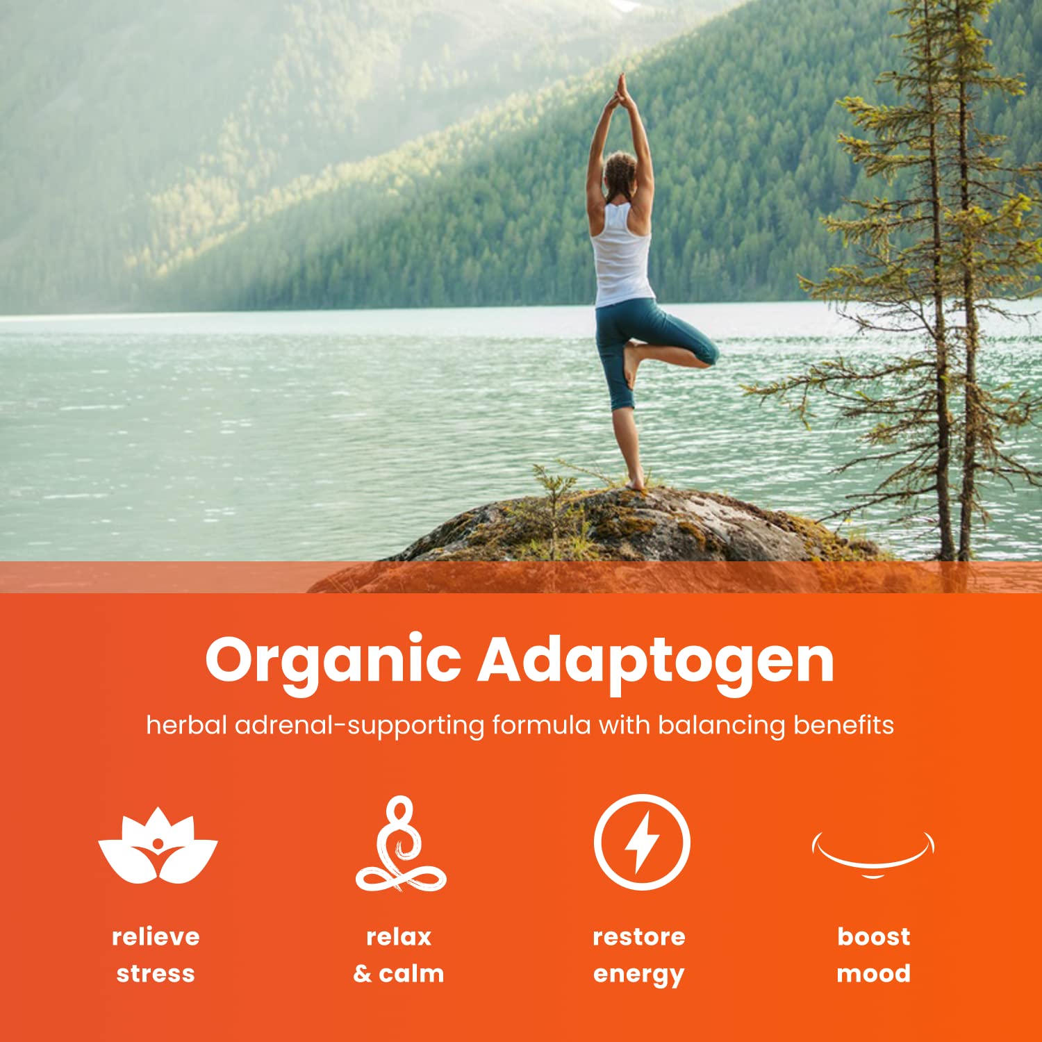 NutraChamps Maca Root & Ashwagandha Supplement Bundle - Natural Energy Booster & Stress Relief - Supports Hormonal Balance & Immune System - Perfect for Workout Recovery & Daily Wellness Routine