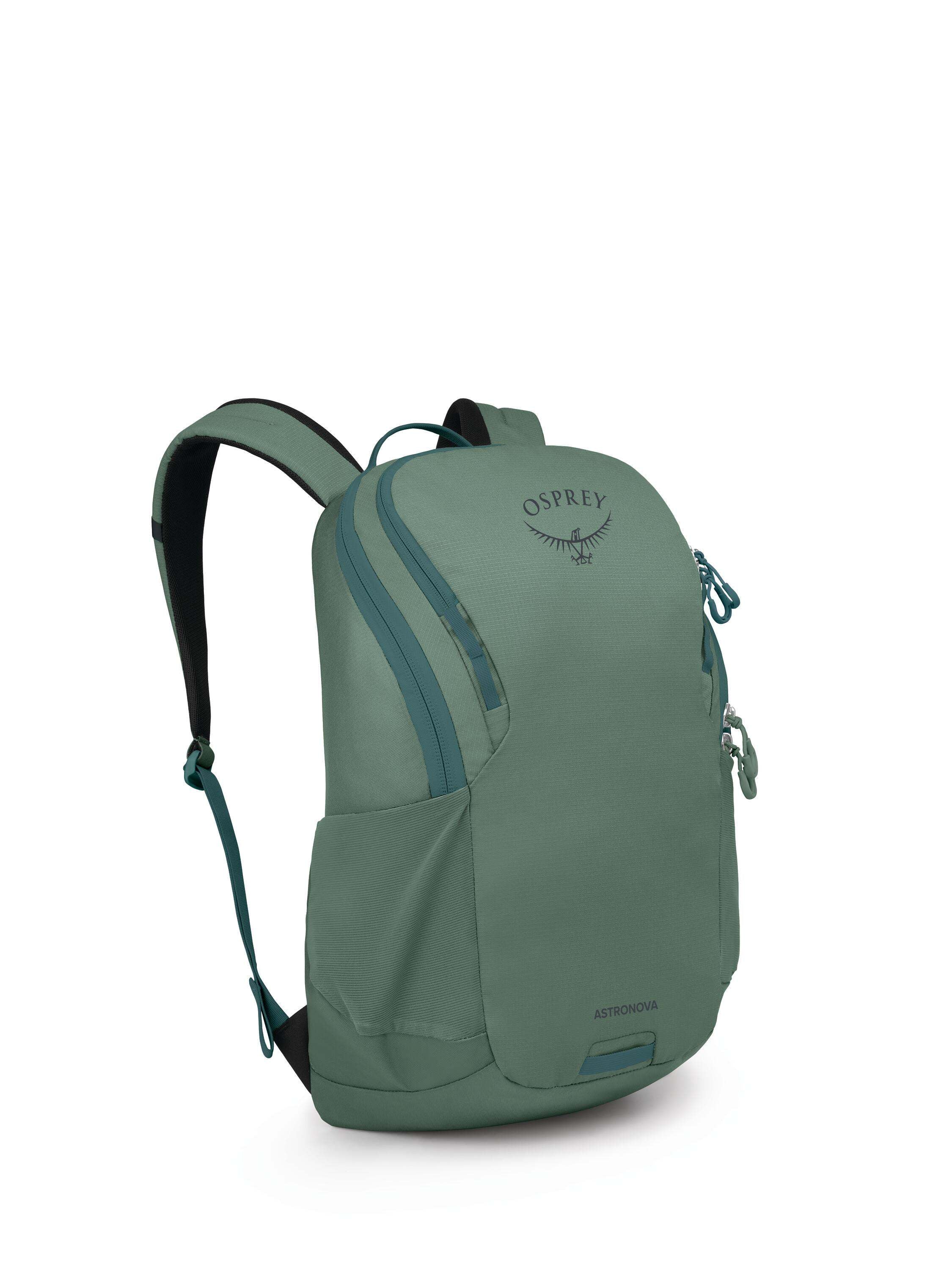 Pine Leaf Green