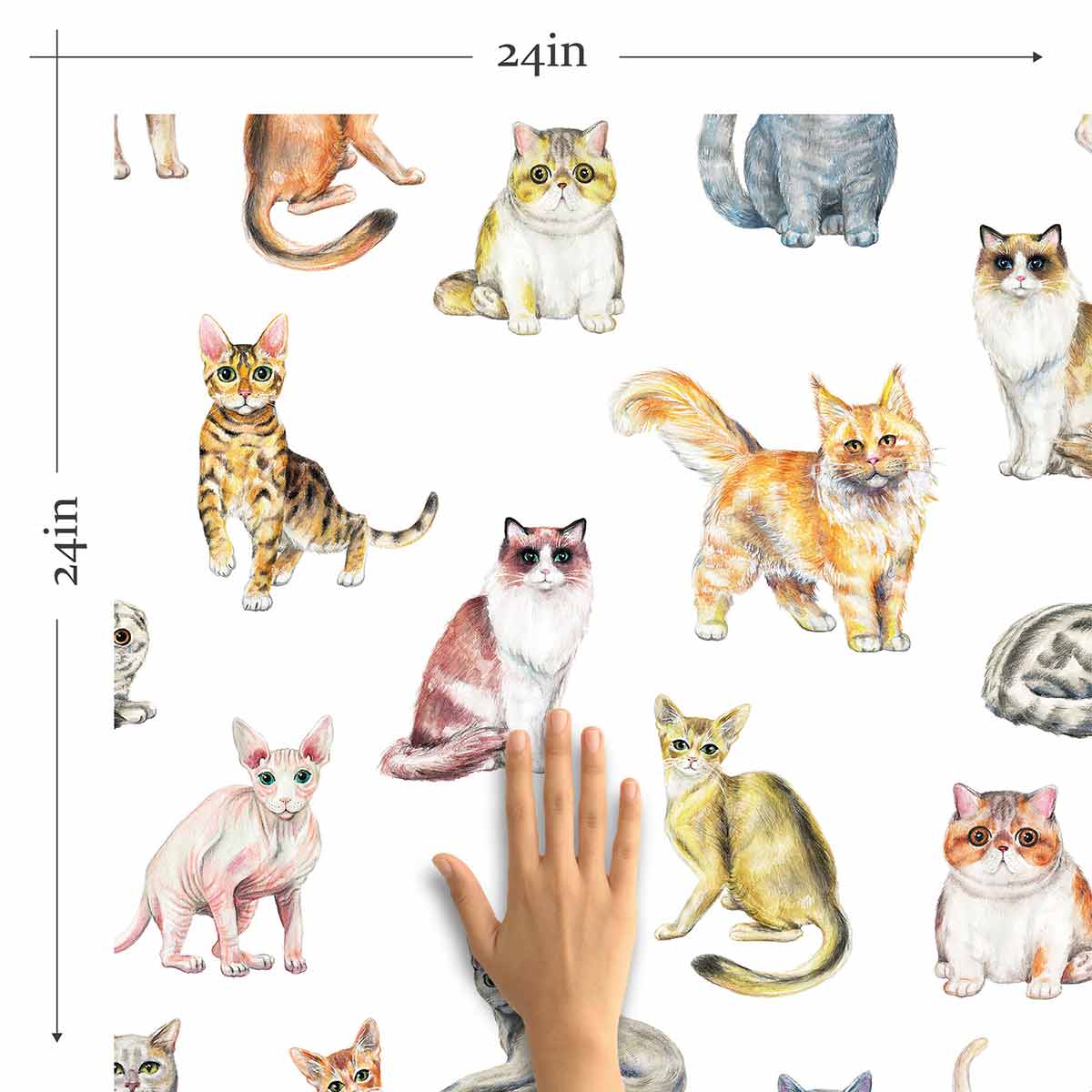 Orange Cat Peel and Stick Removable Wallpaper - Self-Adhesive Decorative Wall Covering for Bedroom, Nursery, Office - Easy to Apply & Remove (Design 6942)
