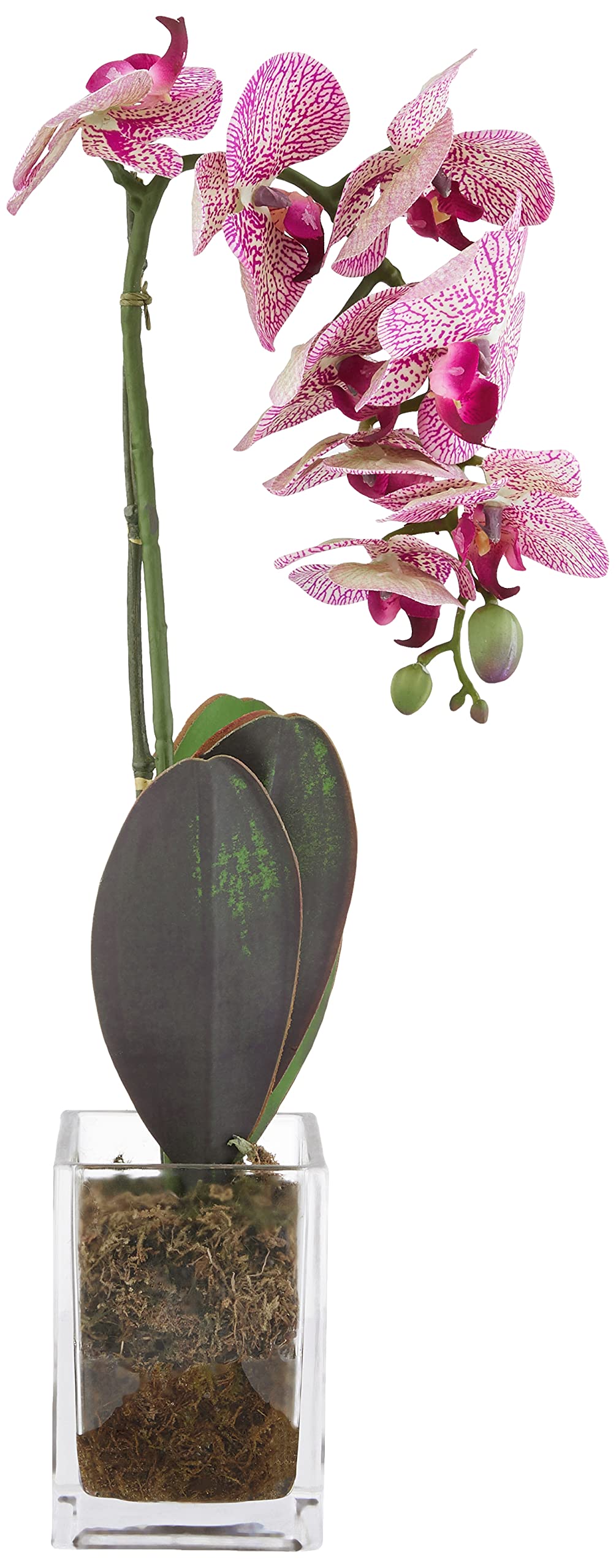 Nearly Natural 24 Inch White Phalaenopsis Orchid Artificial Flower Arrangement in Glass Vase - Perfect for Home Decor, Wedding Centerpieces & Office Desk Decorations