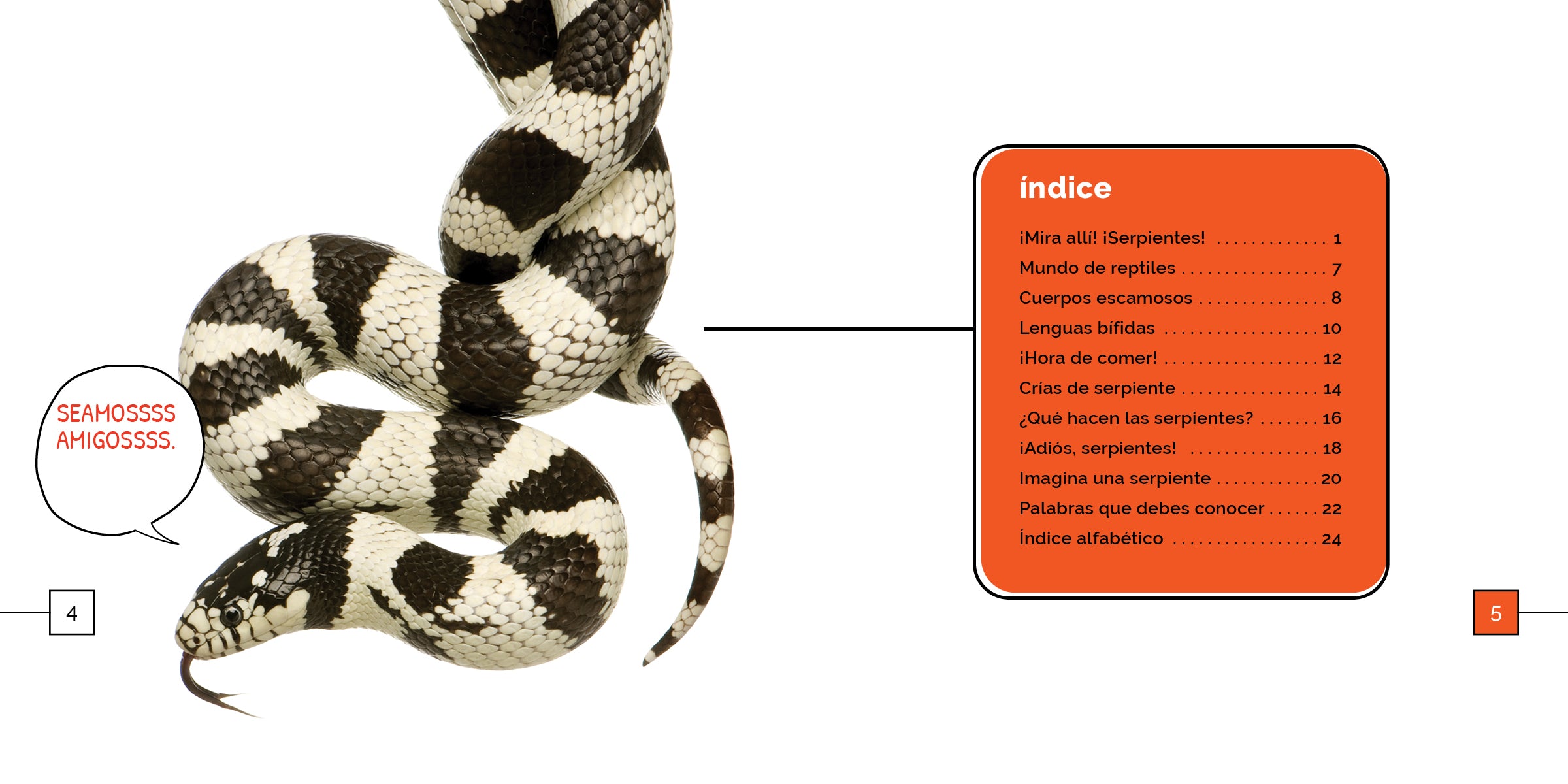 Snakes - Reptile Pet Supplies for Enthusiasts | Perfect for Terrariums & Educational Displays