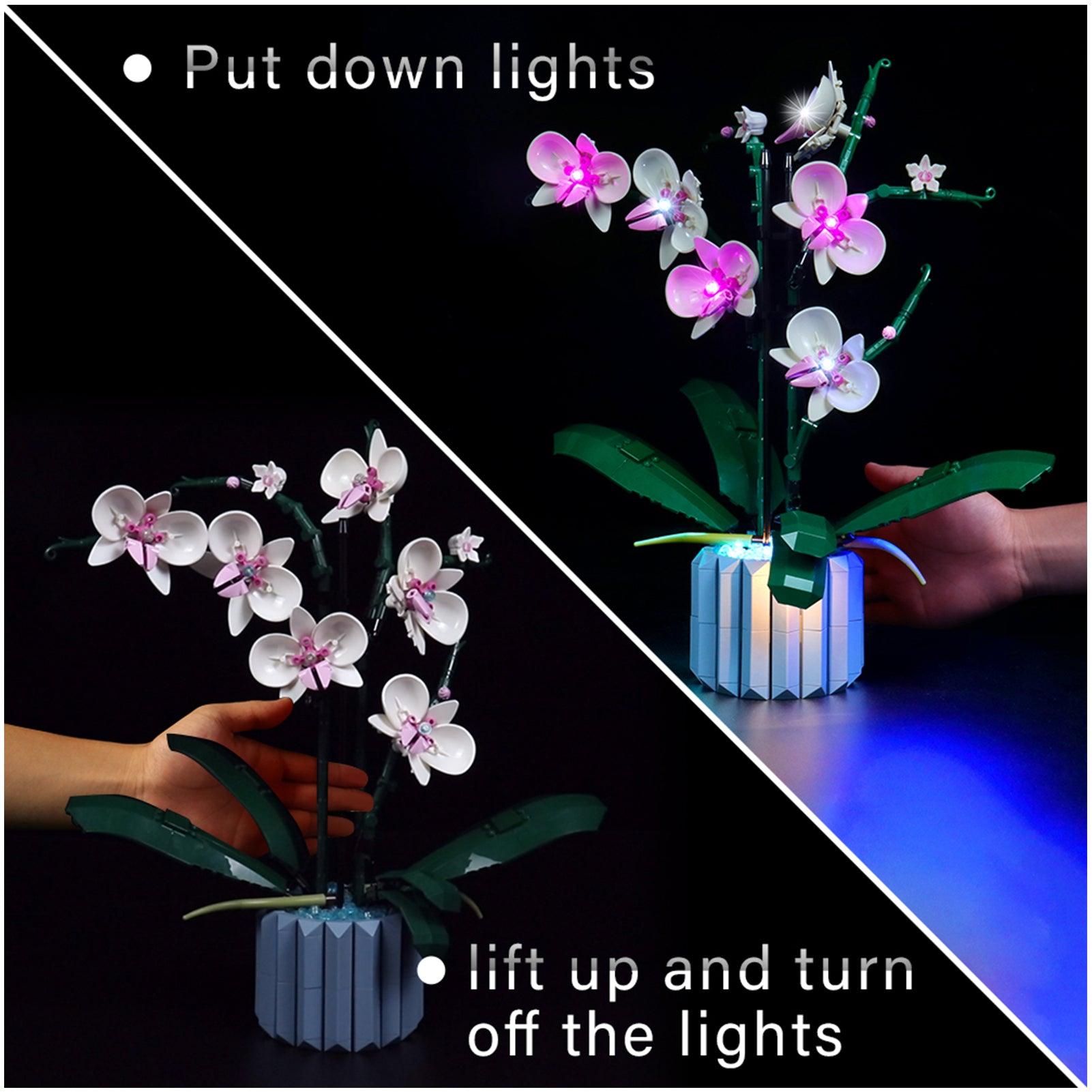 Premium LED Light Kit for Lego Ideas Orchid Plant Decor 10311 – Enhance Your Lego Flower Display with Realistic Lighting for Home & Office Decor