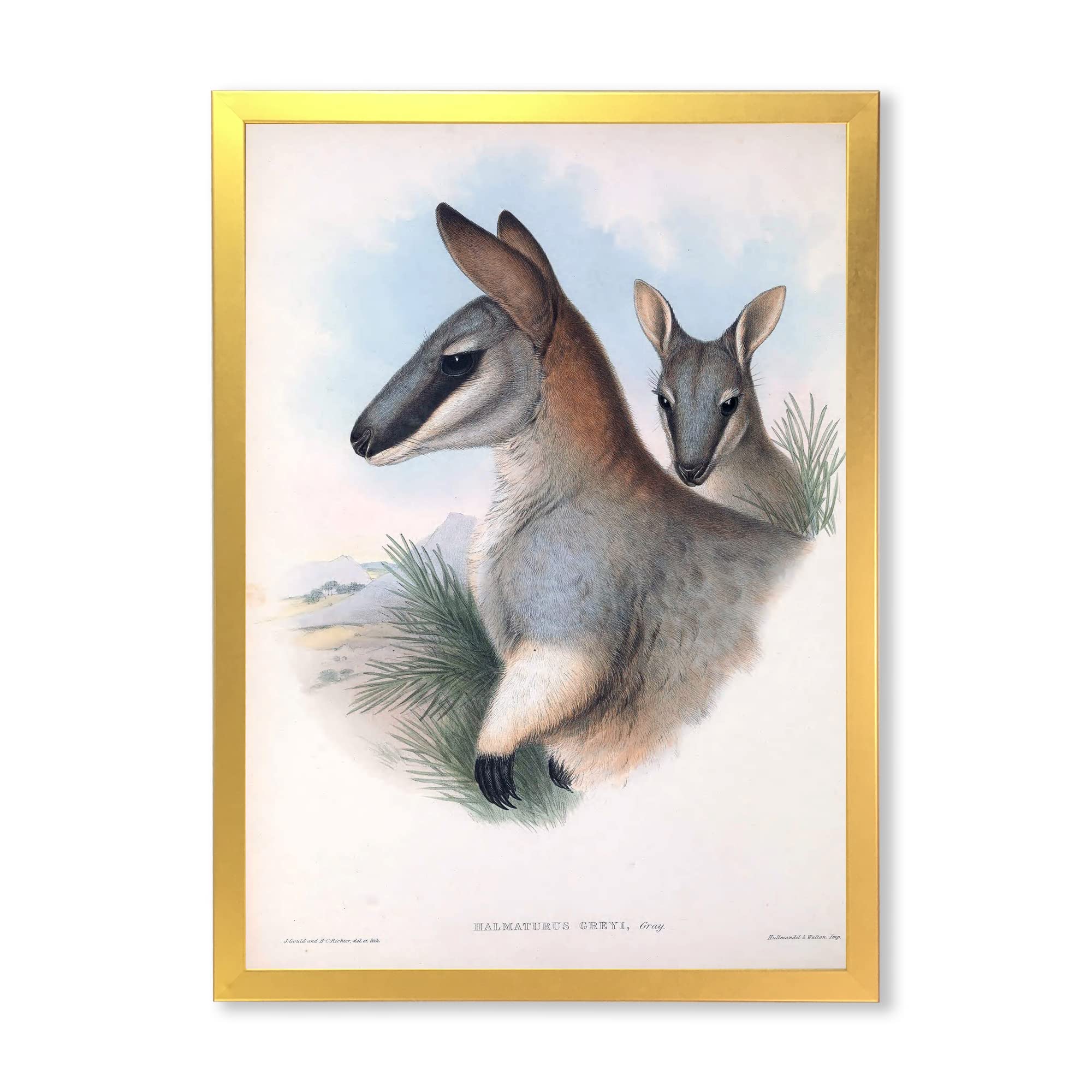 Vintage Kangaroo Farmhouse Framed Wall Art - Rustic Home Decor for Living Room, Bedroom & Office - Perfect for Farmhouse, Cottage & Boho Style Interiors