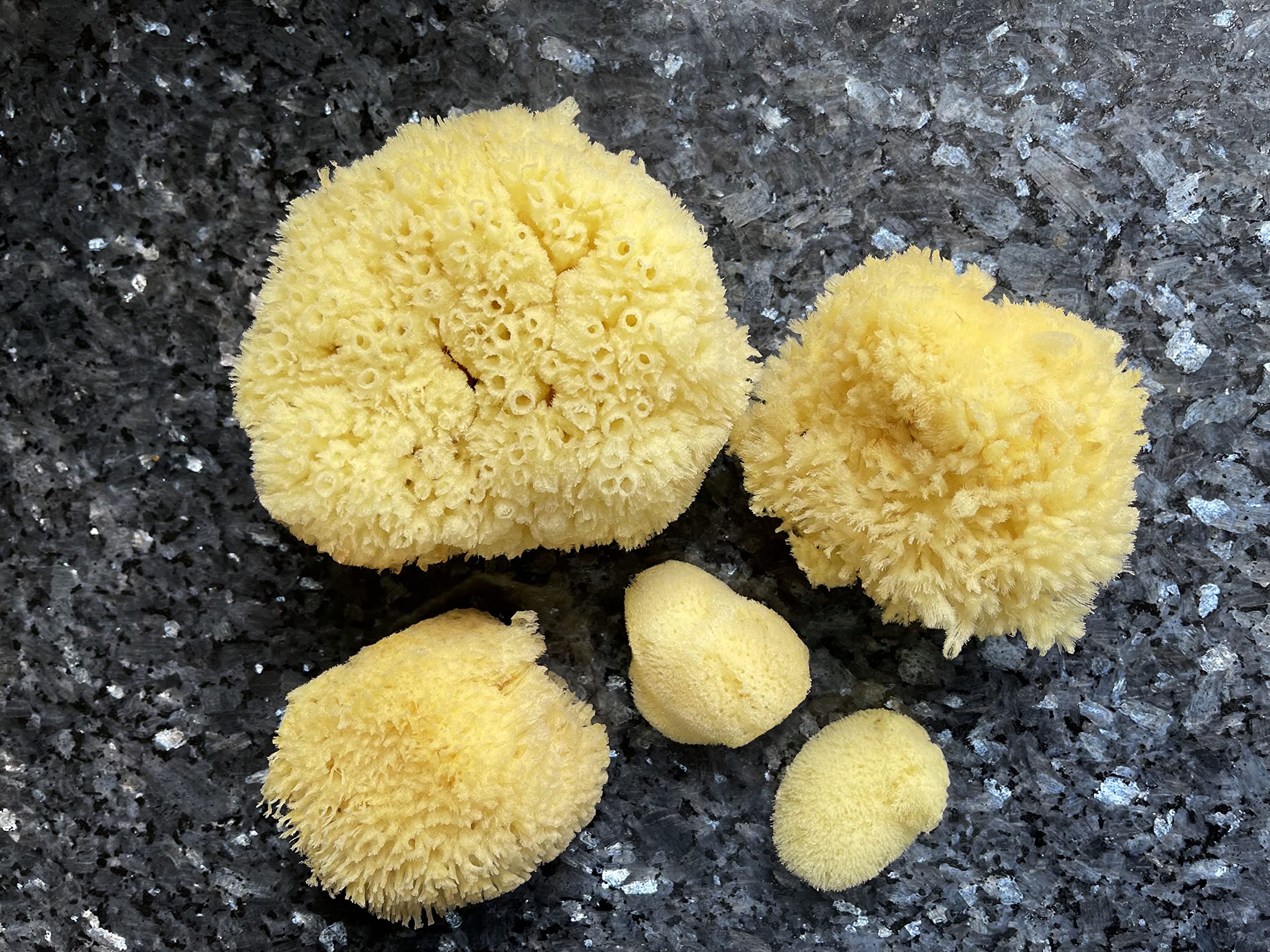 **Premium 5-Piece Natural Sea Sponge Set for Bath, Shower & Facial Cleansing – Gentle on Skin, Spa Gift for Moms, Brides, Teens & Girlfriends – Includes Luxury Bag – Perfect for Self-Care & Relaxation**