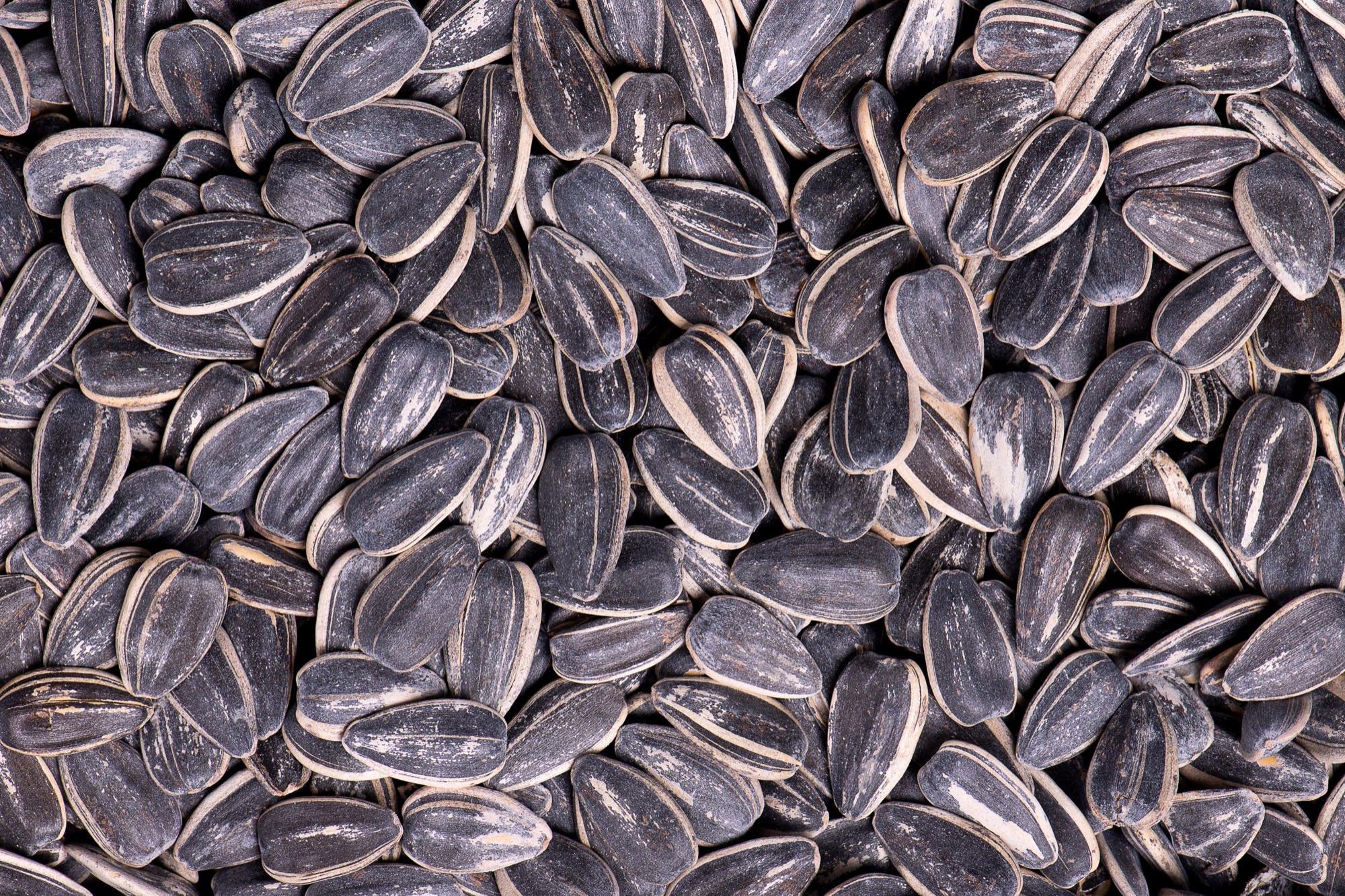 Jumbo Sunflower Seeds Sampler Pack - Original, Ranch, Pepper, BBQ, Chipotle, No Salt (11 Bags) | Healthy Snacks for Road Trips, Office & Outdoor Activities
