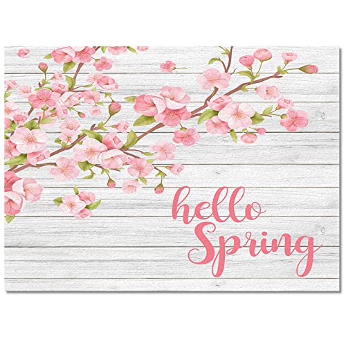 Springper3442