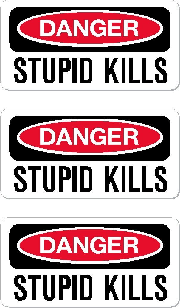 Danger Stupid Kills Funny Stickers (3 Pack) - 1