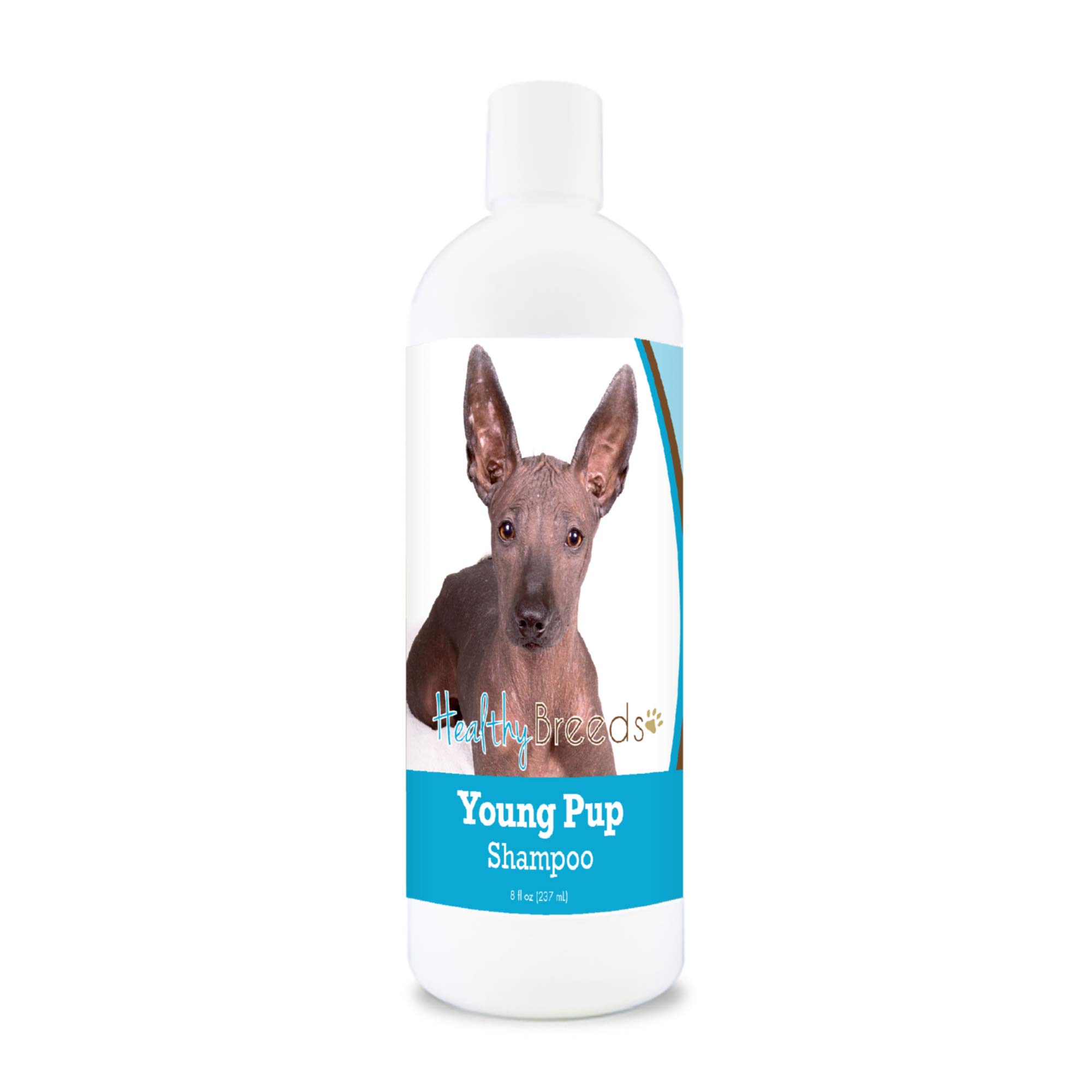 Healthy Breeds Xoloitzcuintli Puppy Shampoo 8 oz - Gentle Cleansing for Young Dogs | Perfect for Bath Time & Coat Care