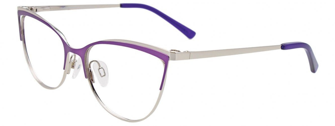 80 - Matt Purple & Shiny Gold