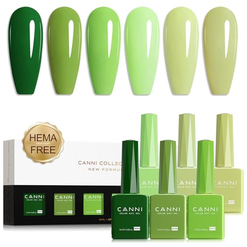 Evergreen Olive Set