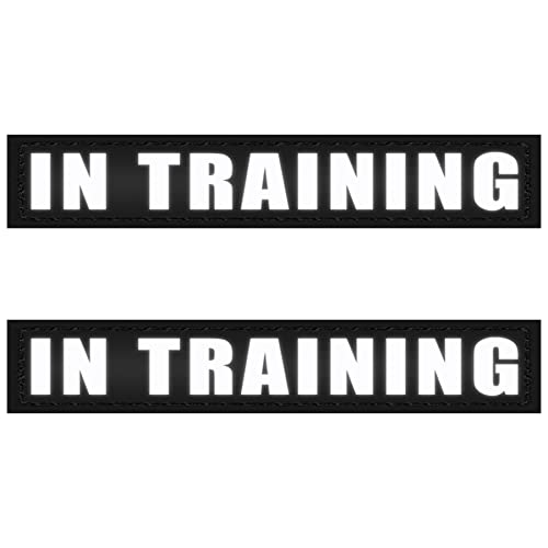 In Training (2 Pack Black)